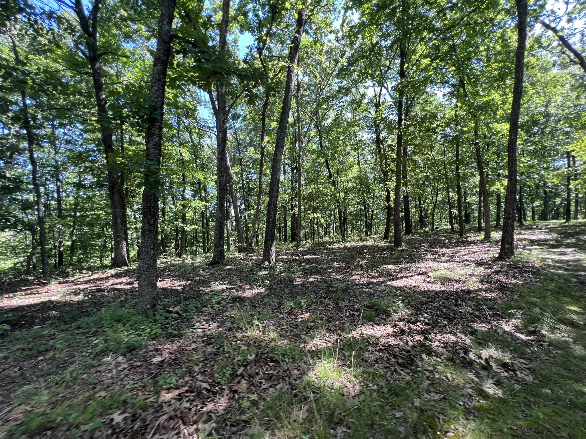 main property photo 71