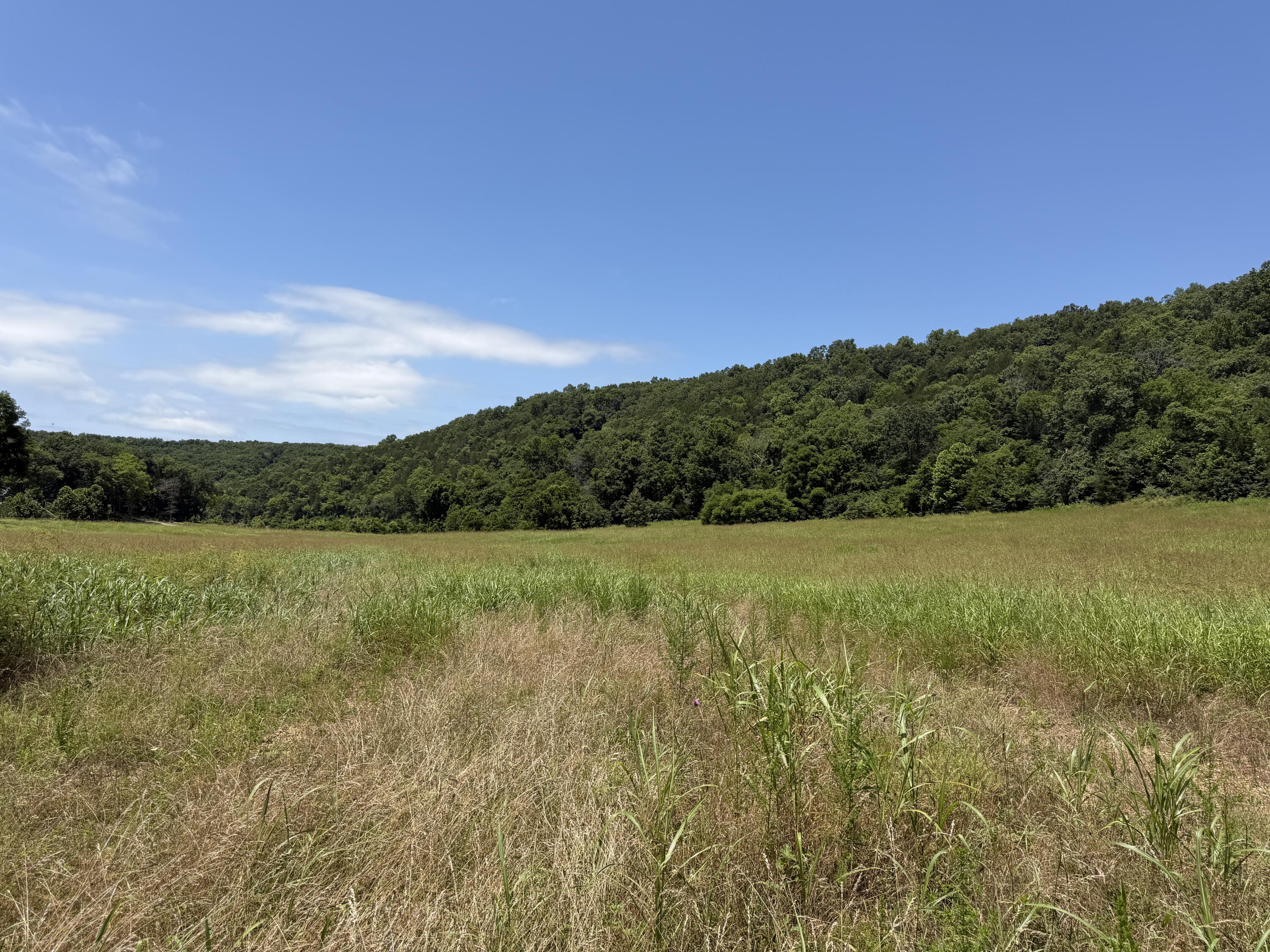 main property photo 0
