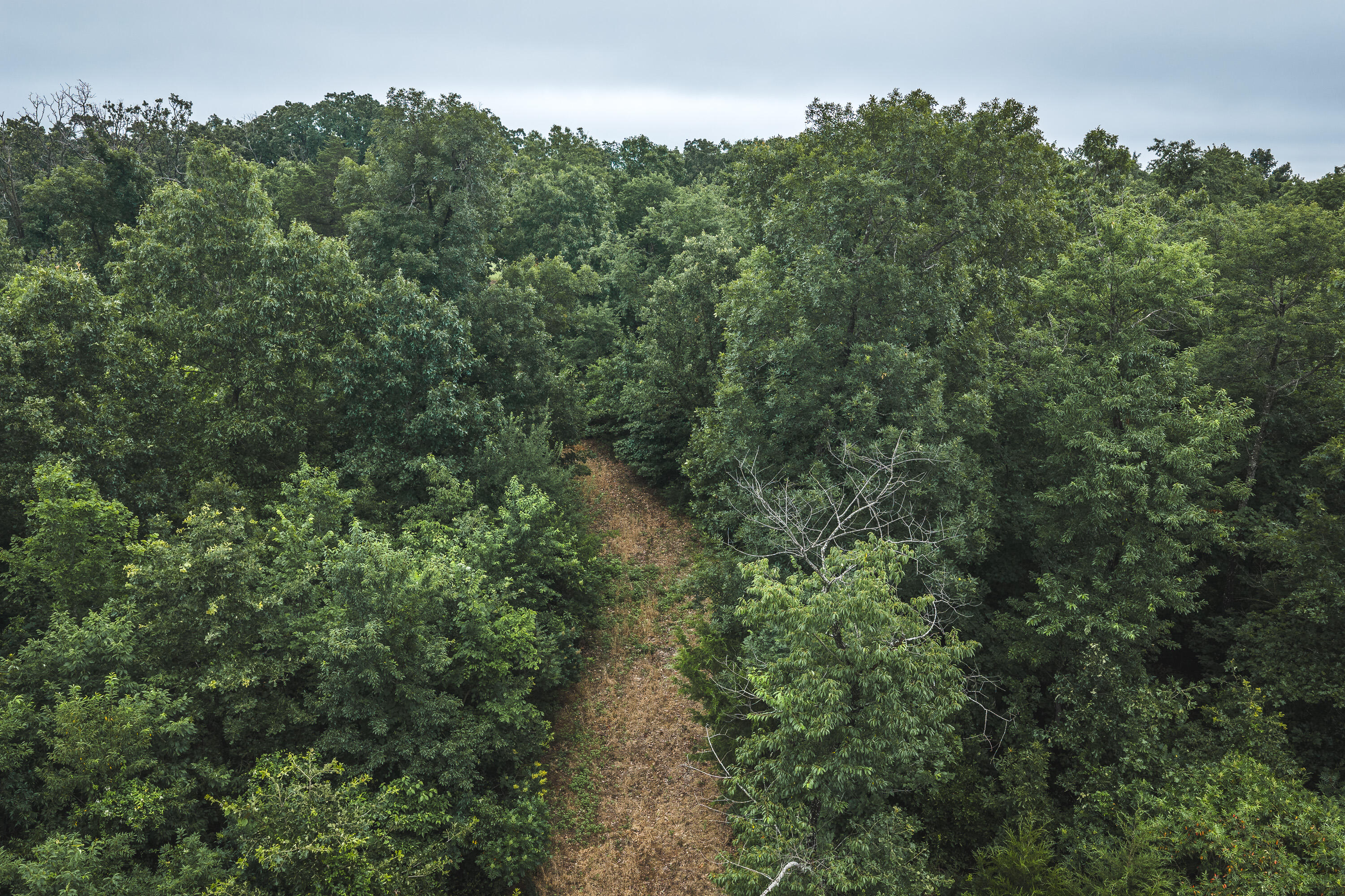 main property photo 56