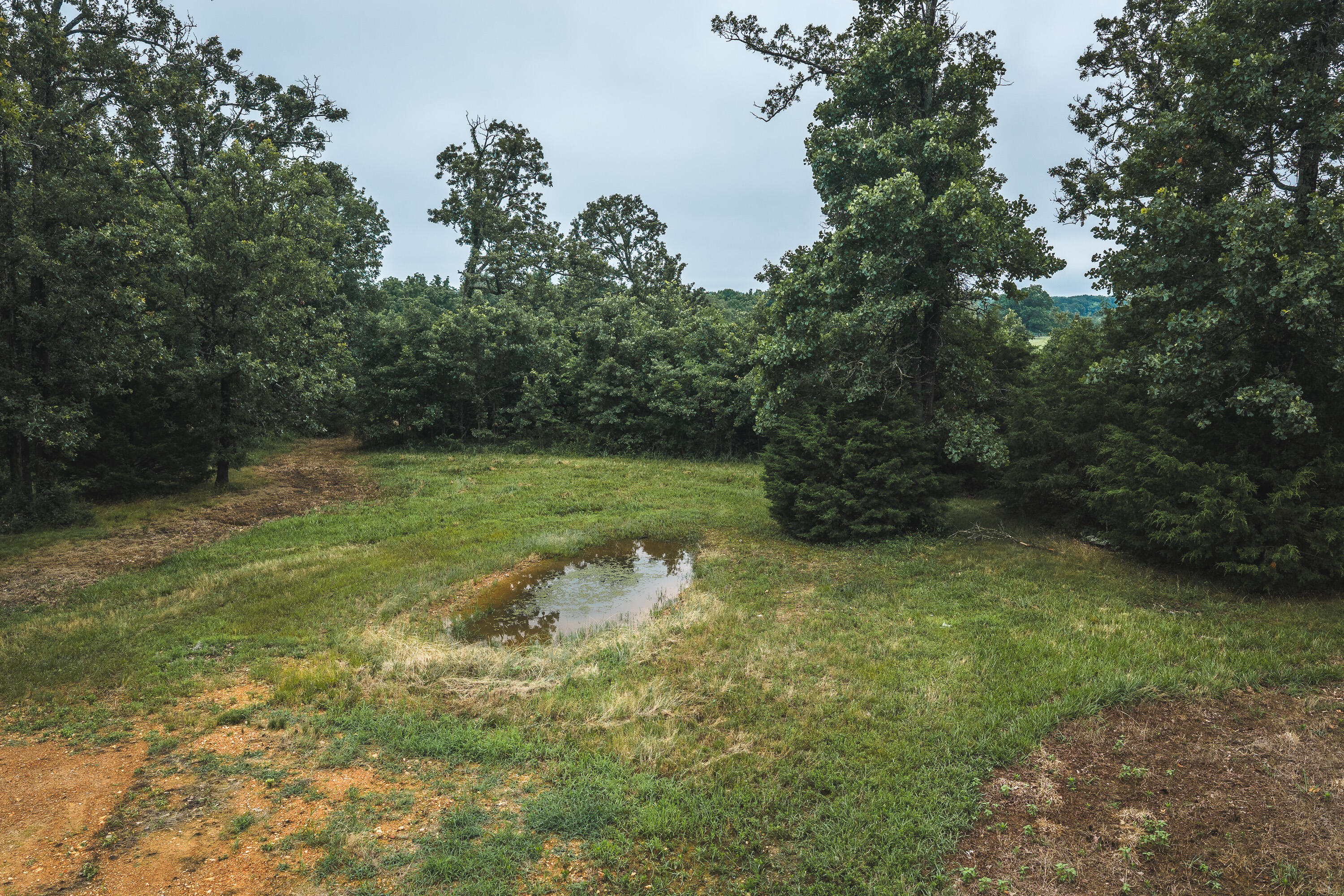 main property photo 58