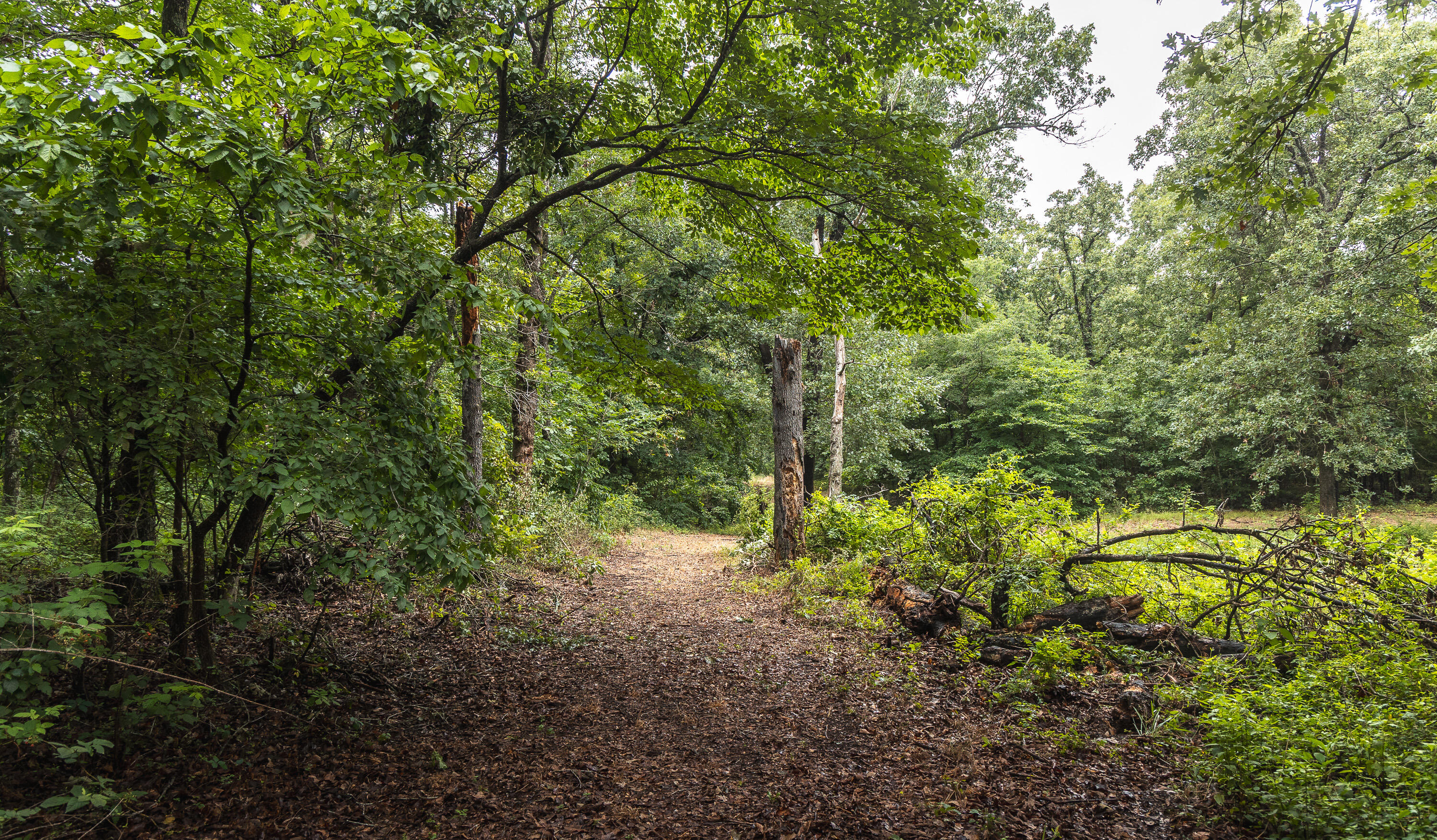main property photo 60