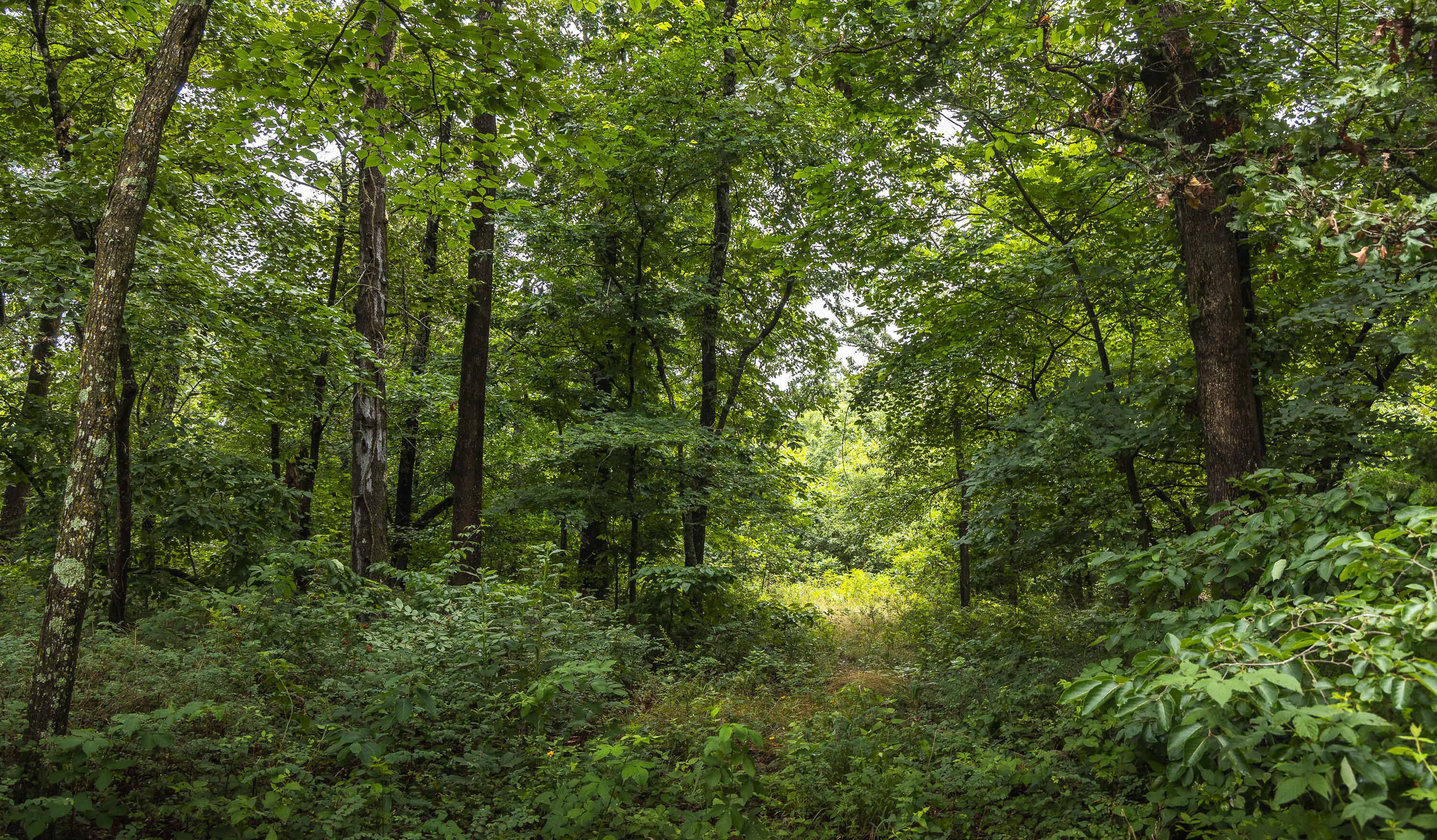 main property photo 63