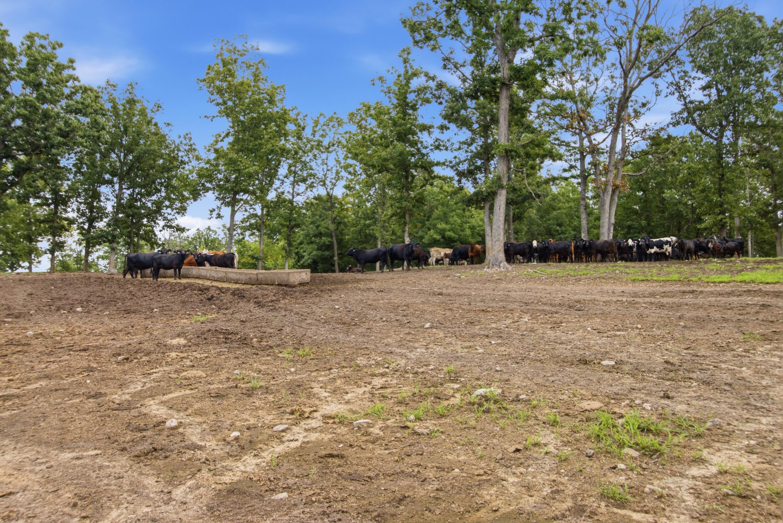 main property photo 35