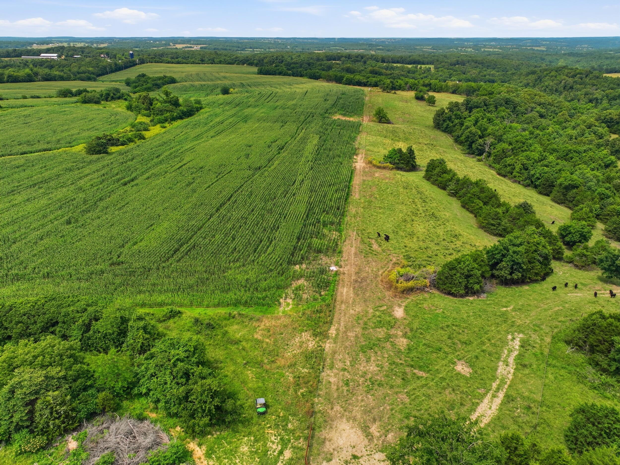 main property photo 49
