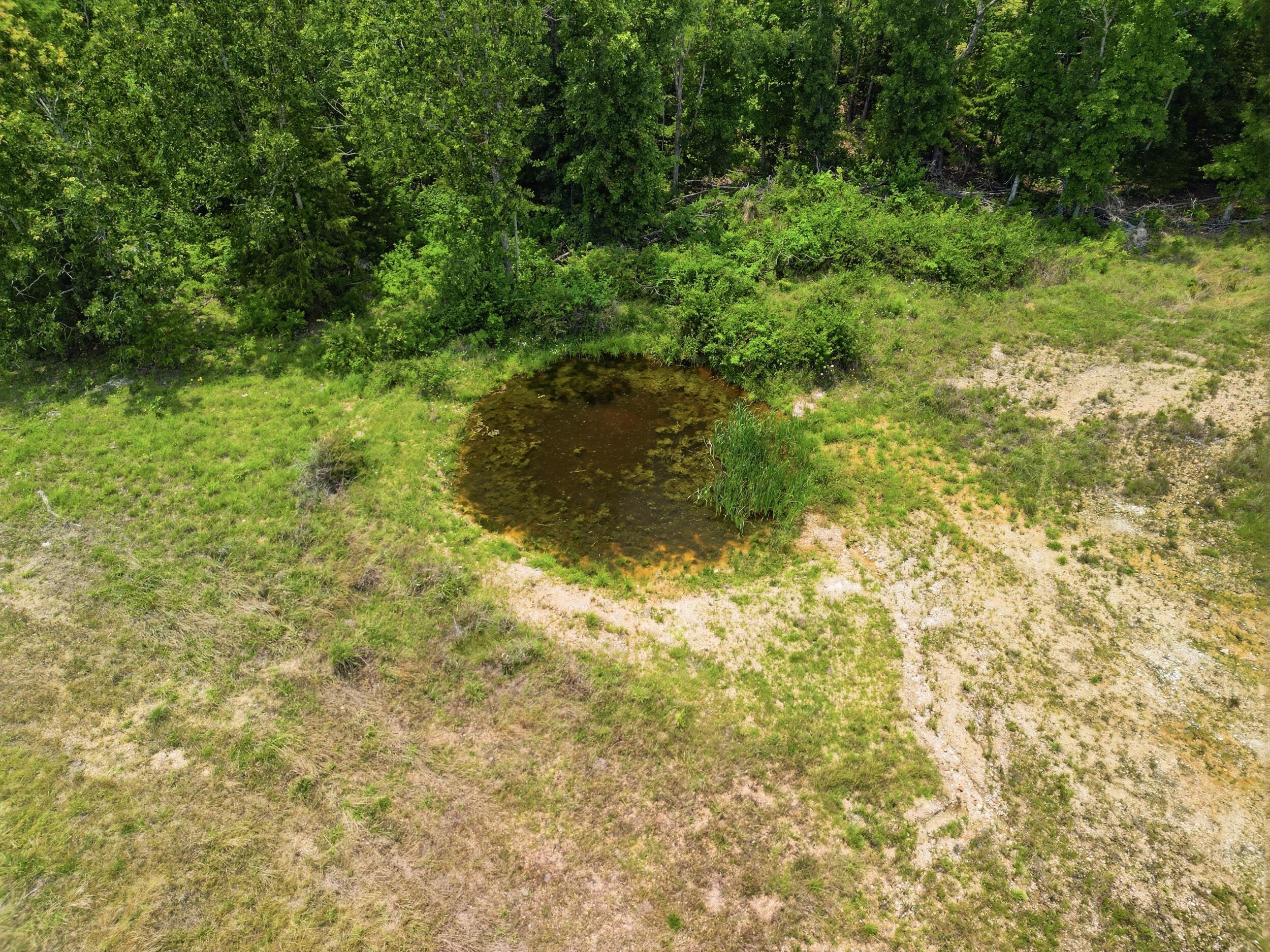 main property photo 58