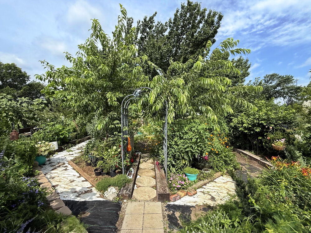 main property photo 40