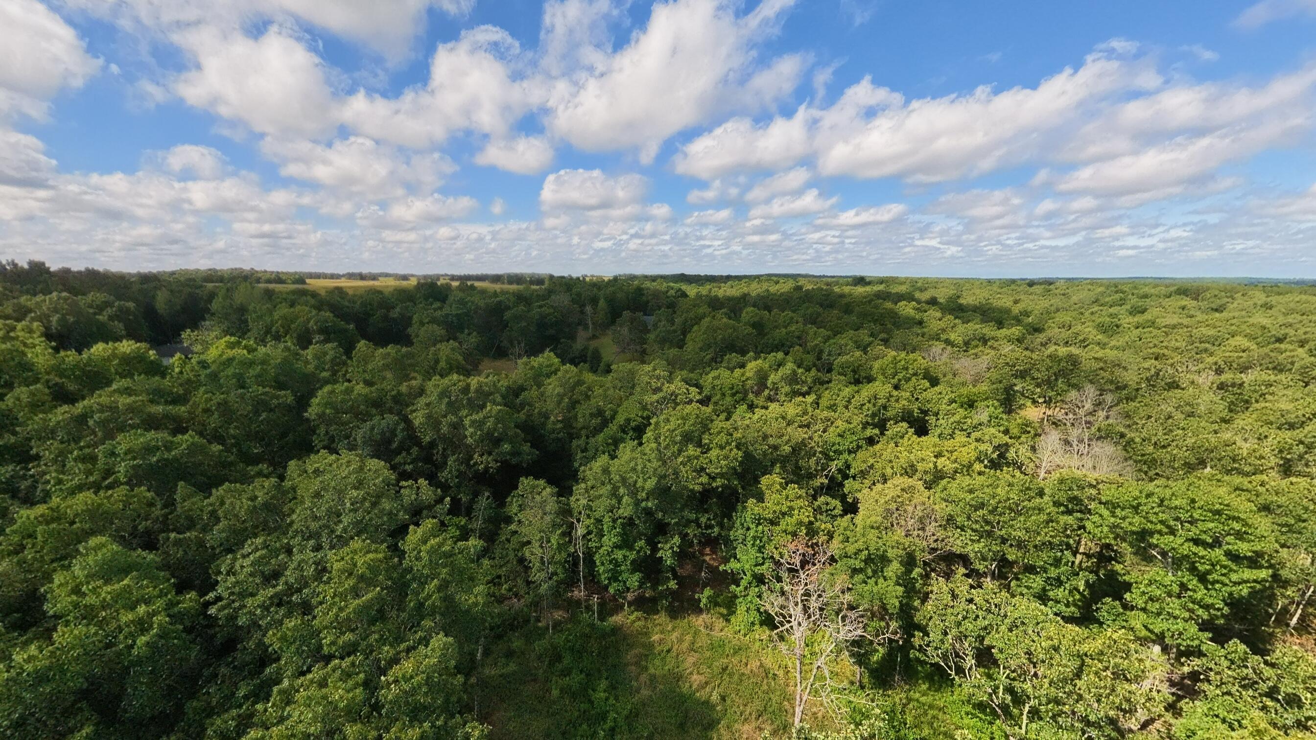 main property photo 66