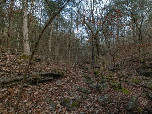 main property photo 10