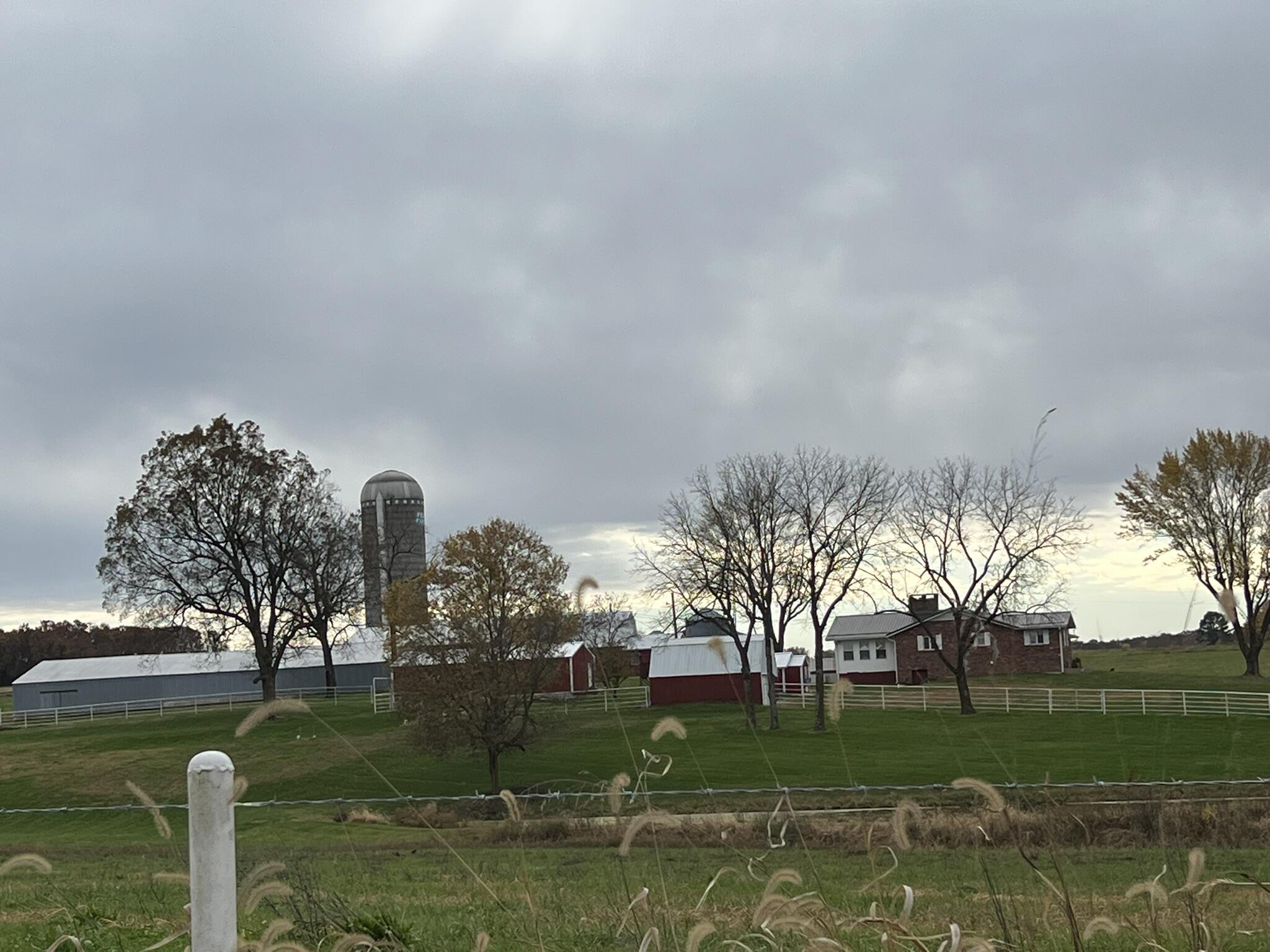 main property photo 59