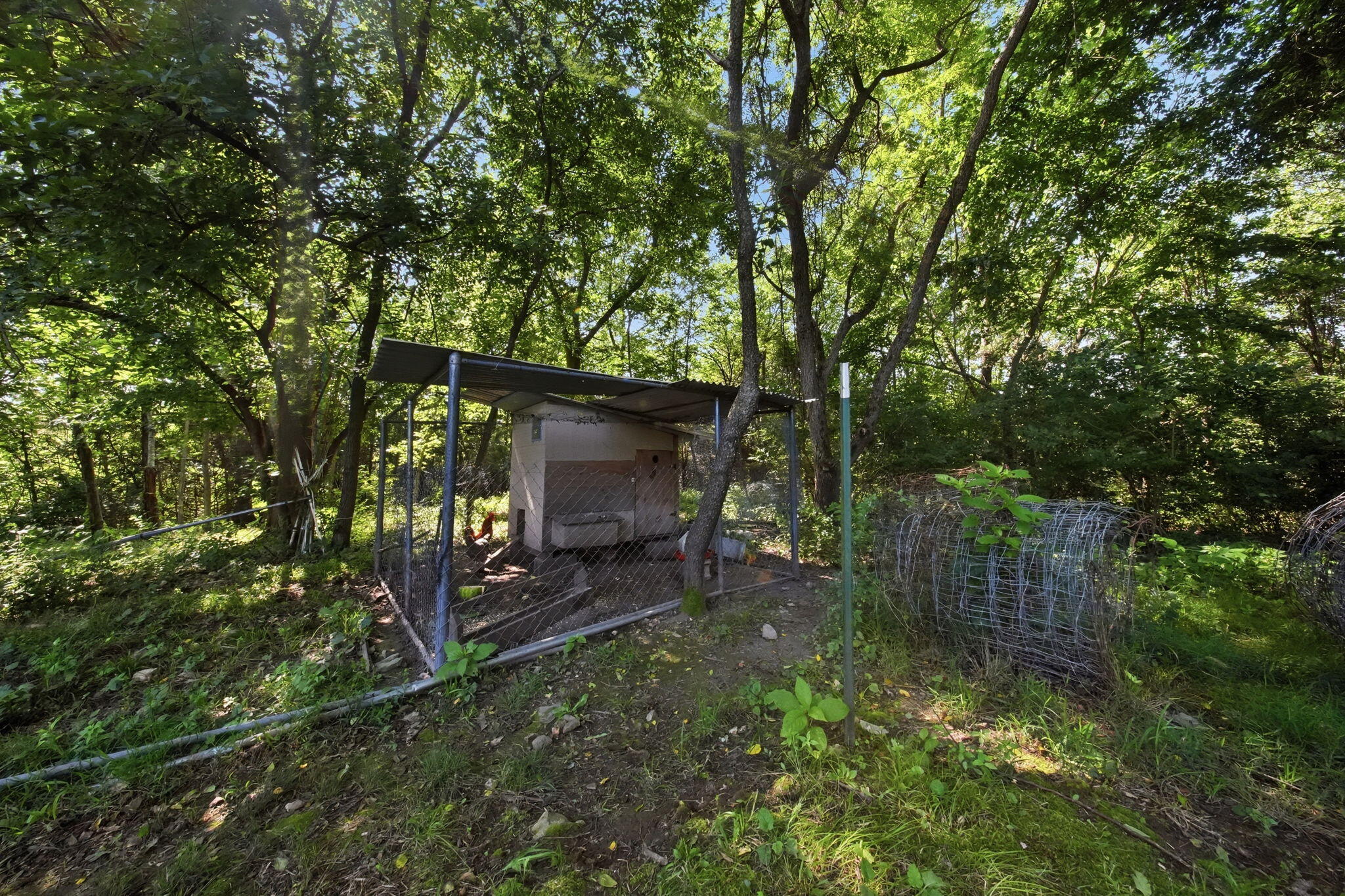main property photo 26
