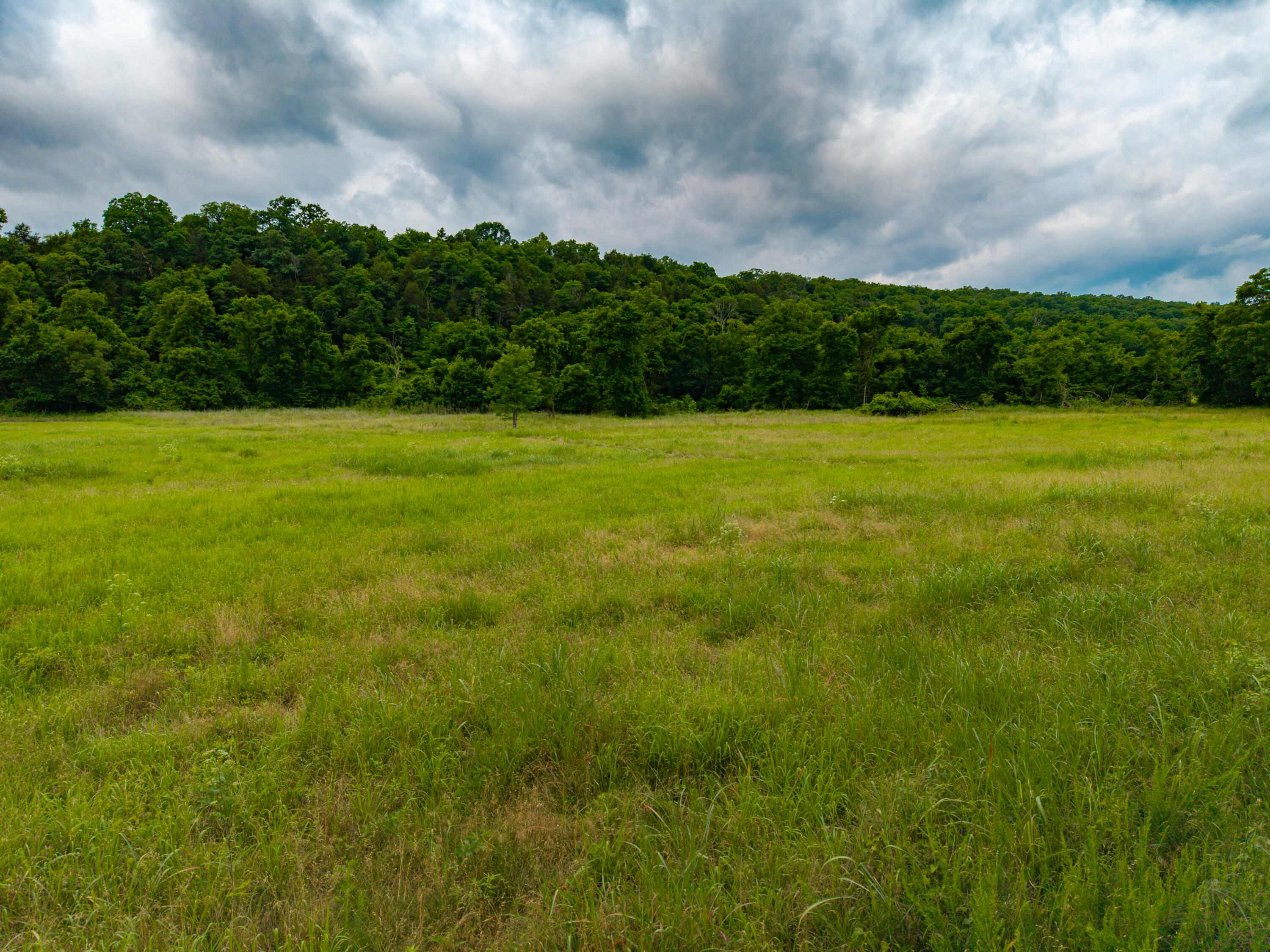 main property photo 71