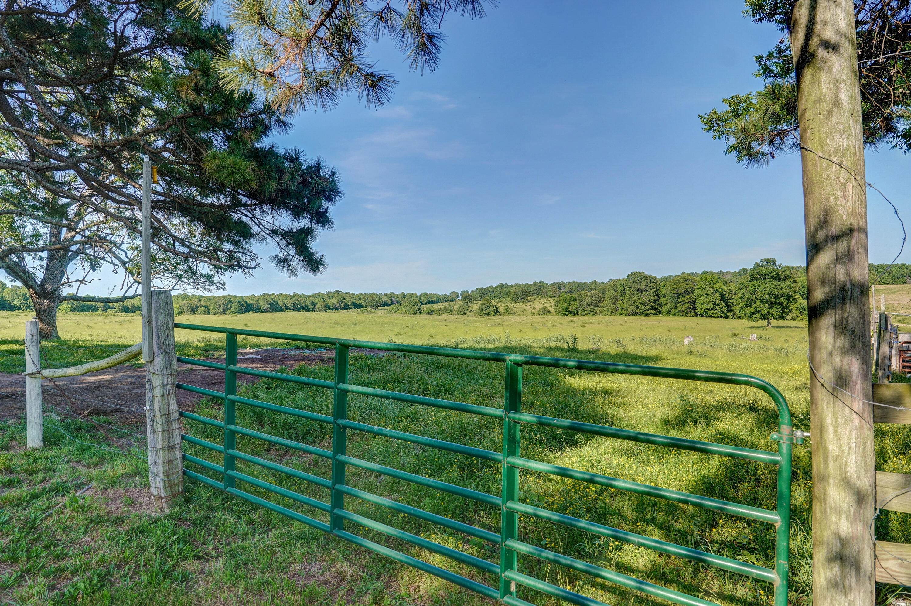 main property photo 43