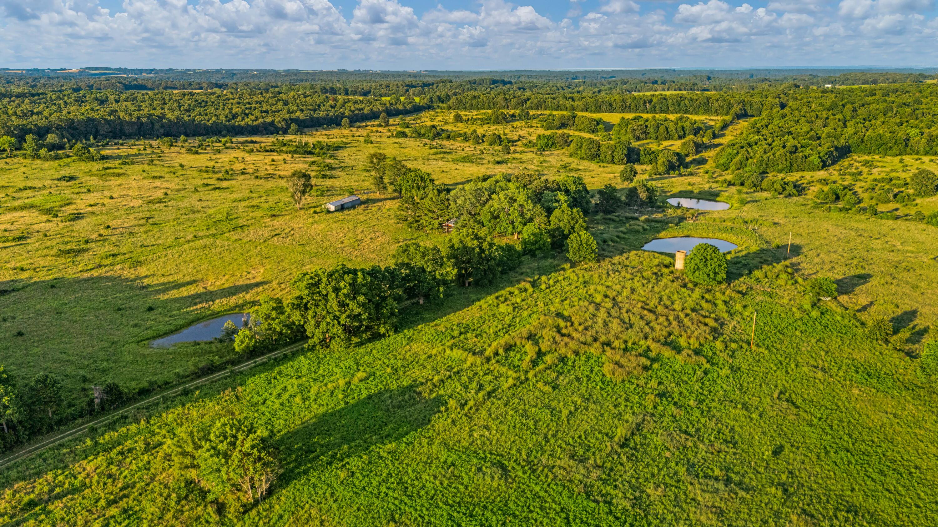 main property photo 69