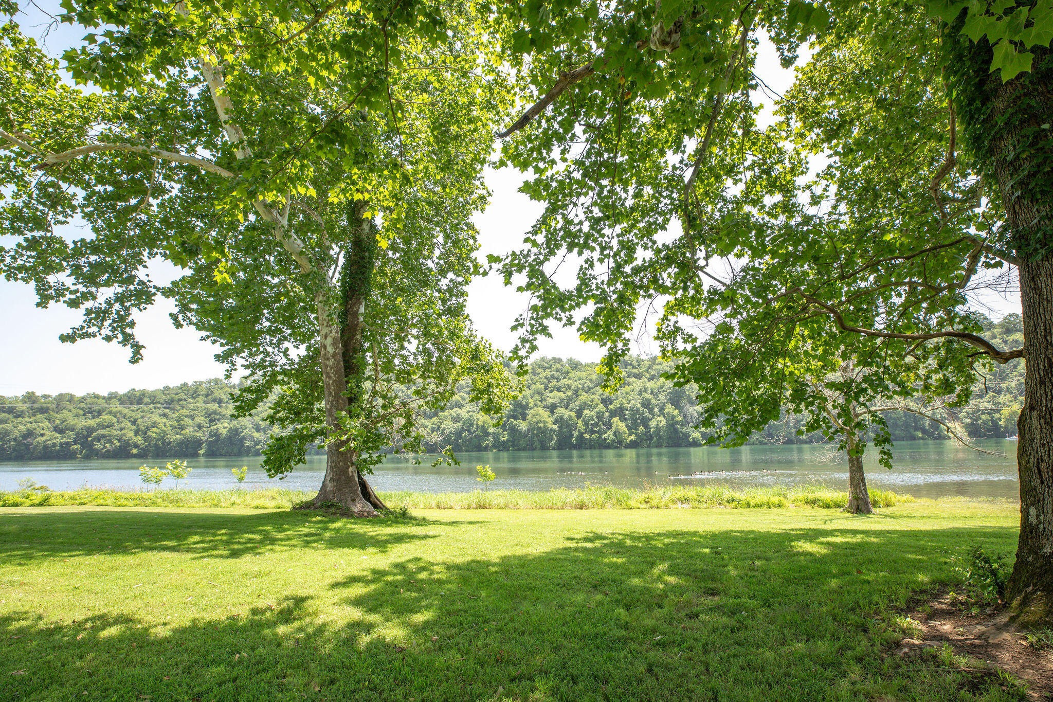 main property photo 49