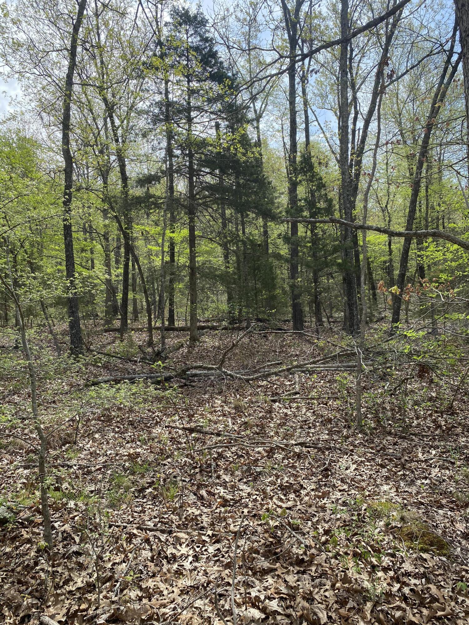 main property photo 31