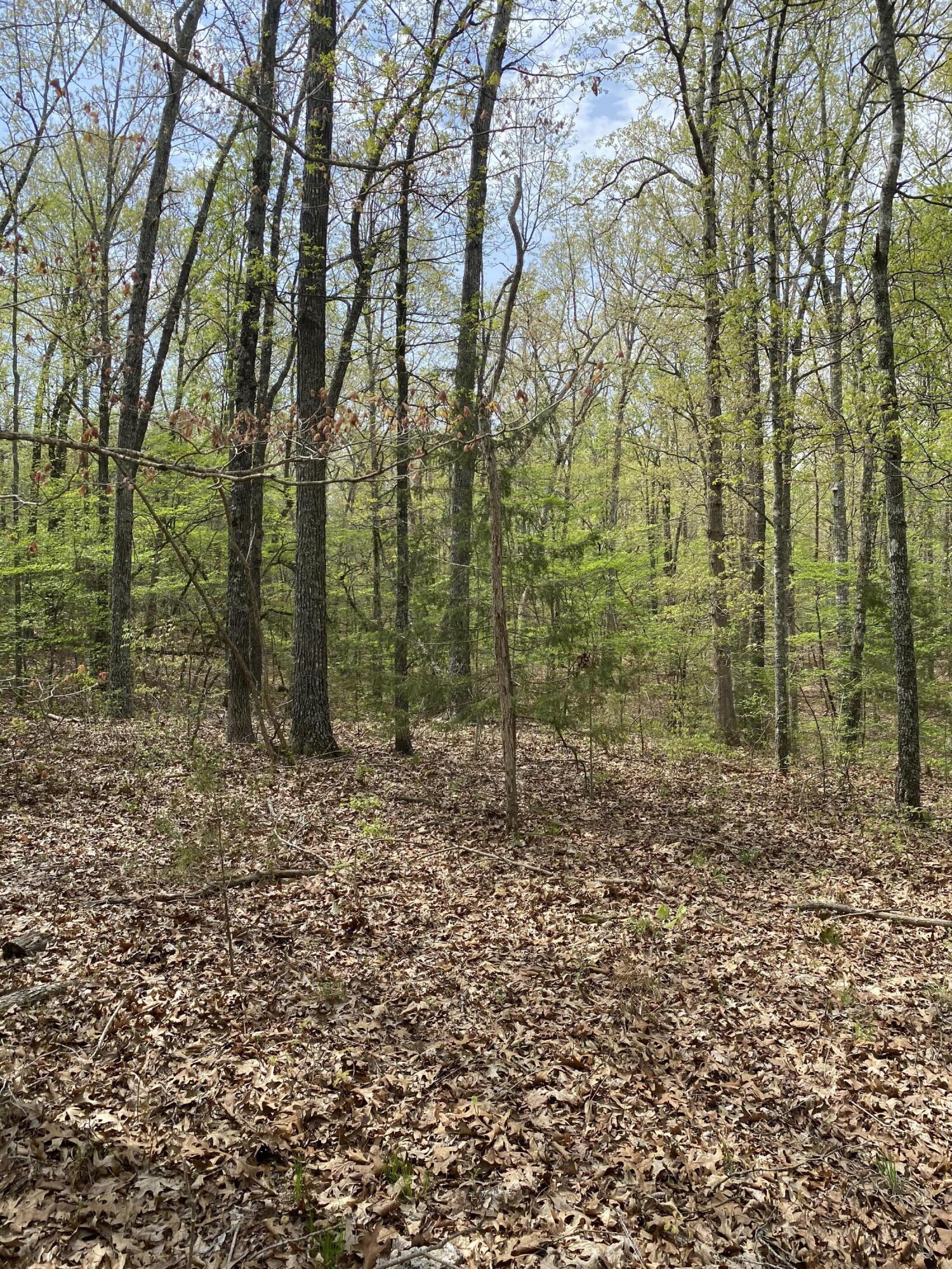 main property photo 32