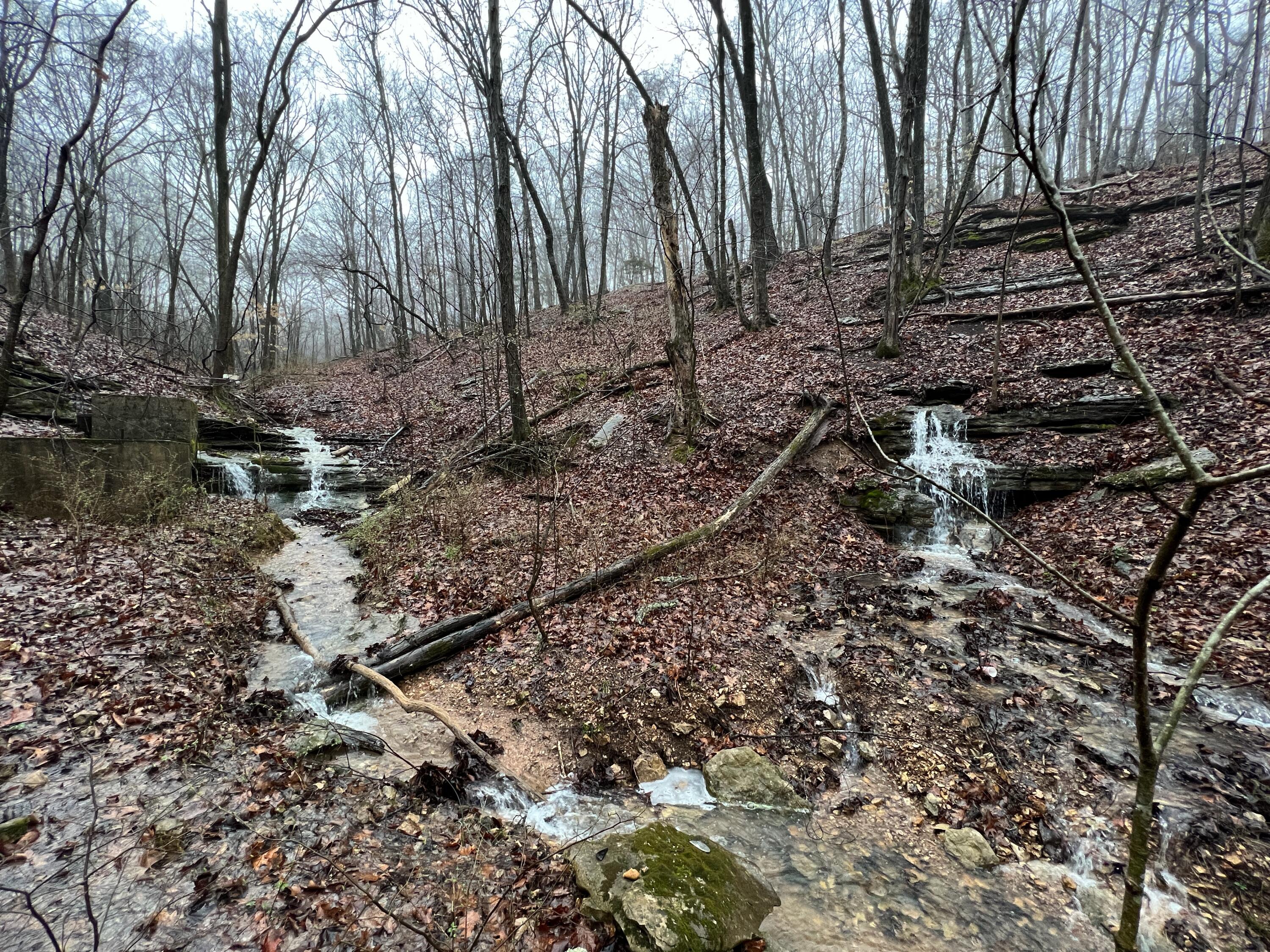 main property photo 63