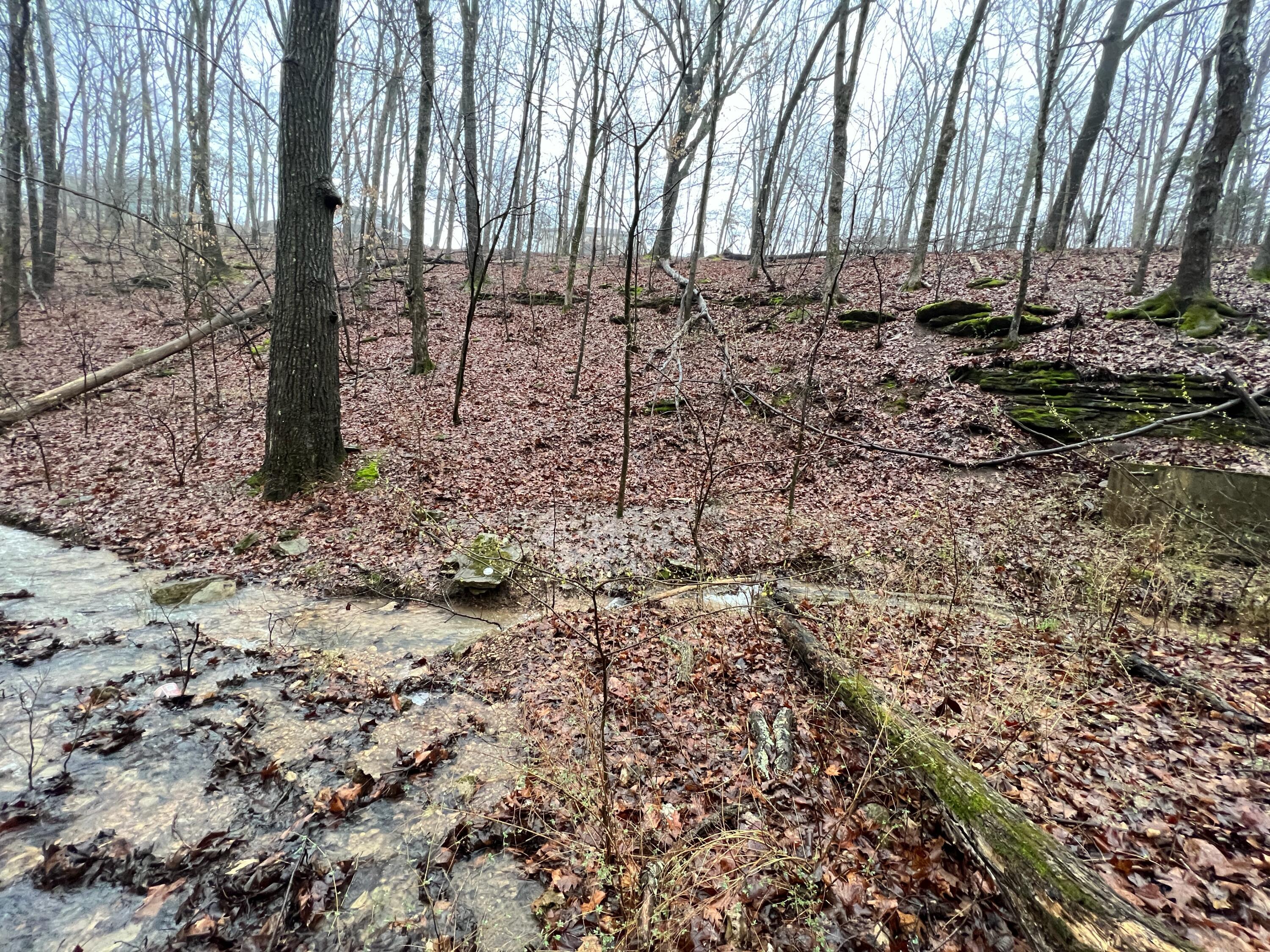 main property photo 65