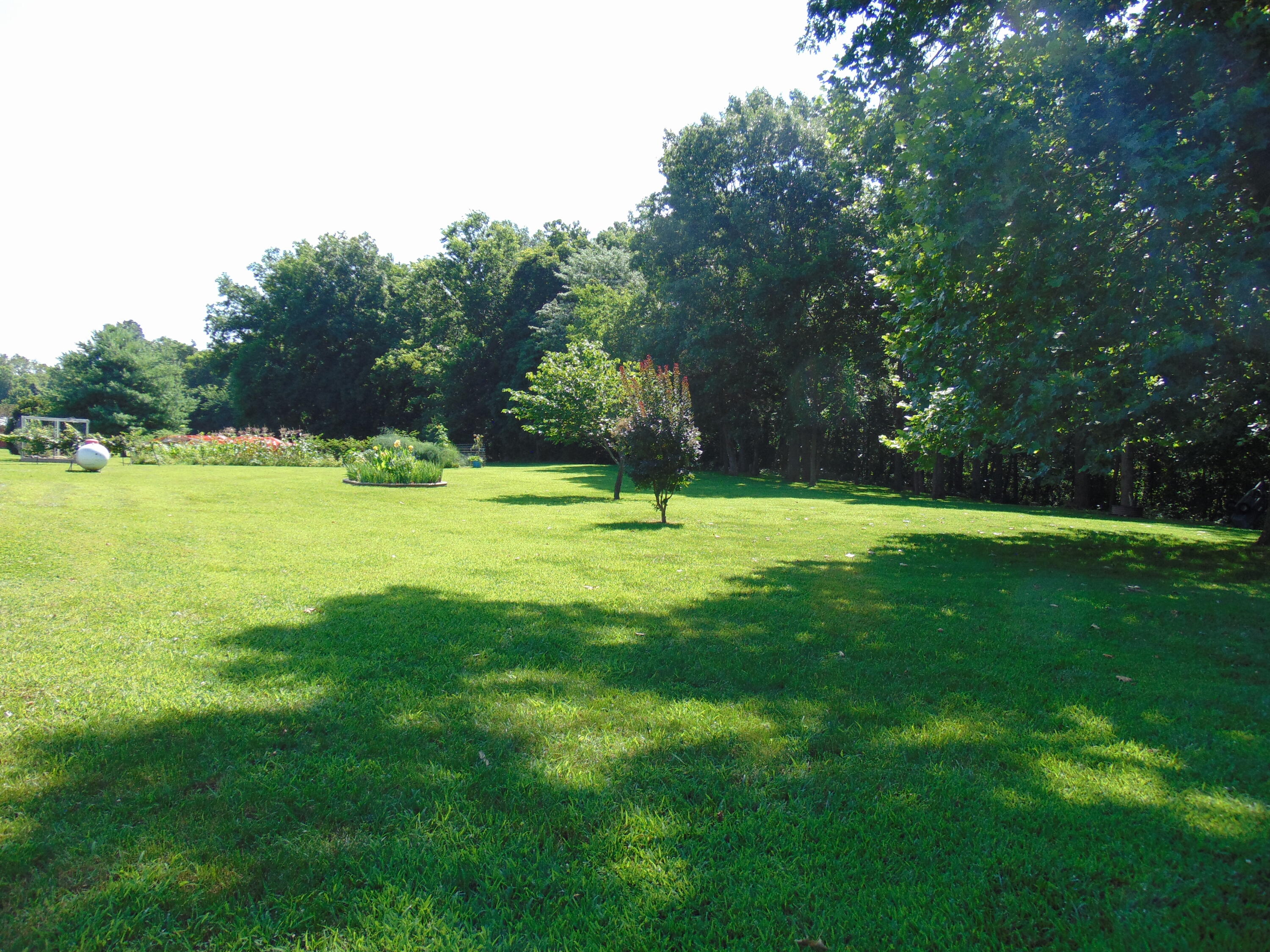 main property photo 40