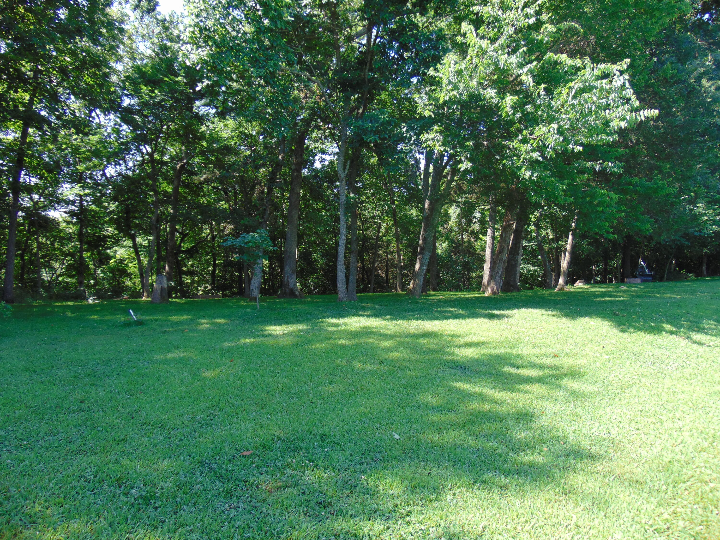 main property photo 46