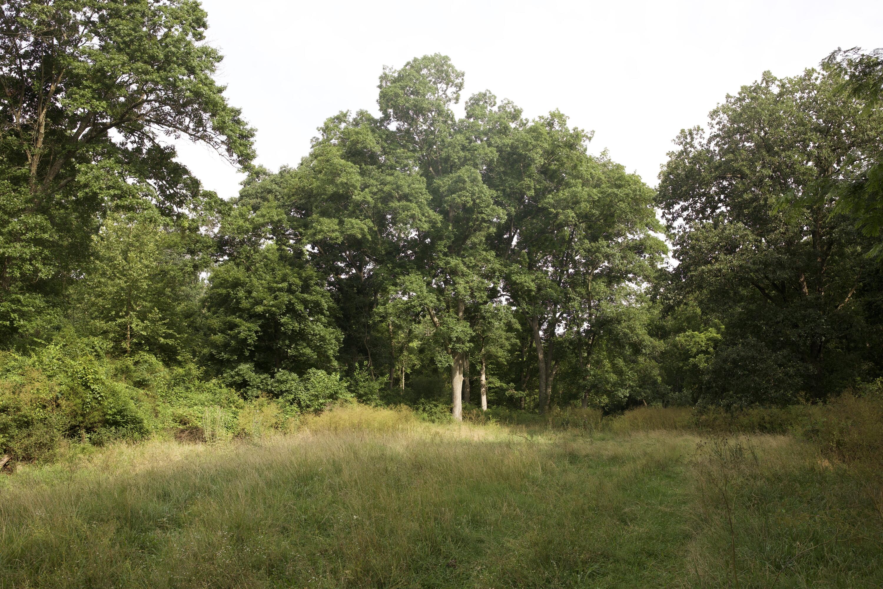 main property photo 62