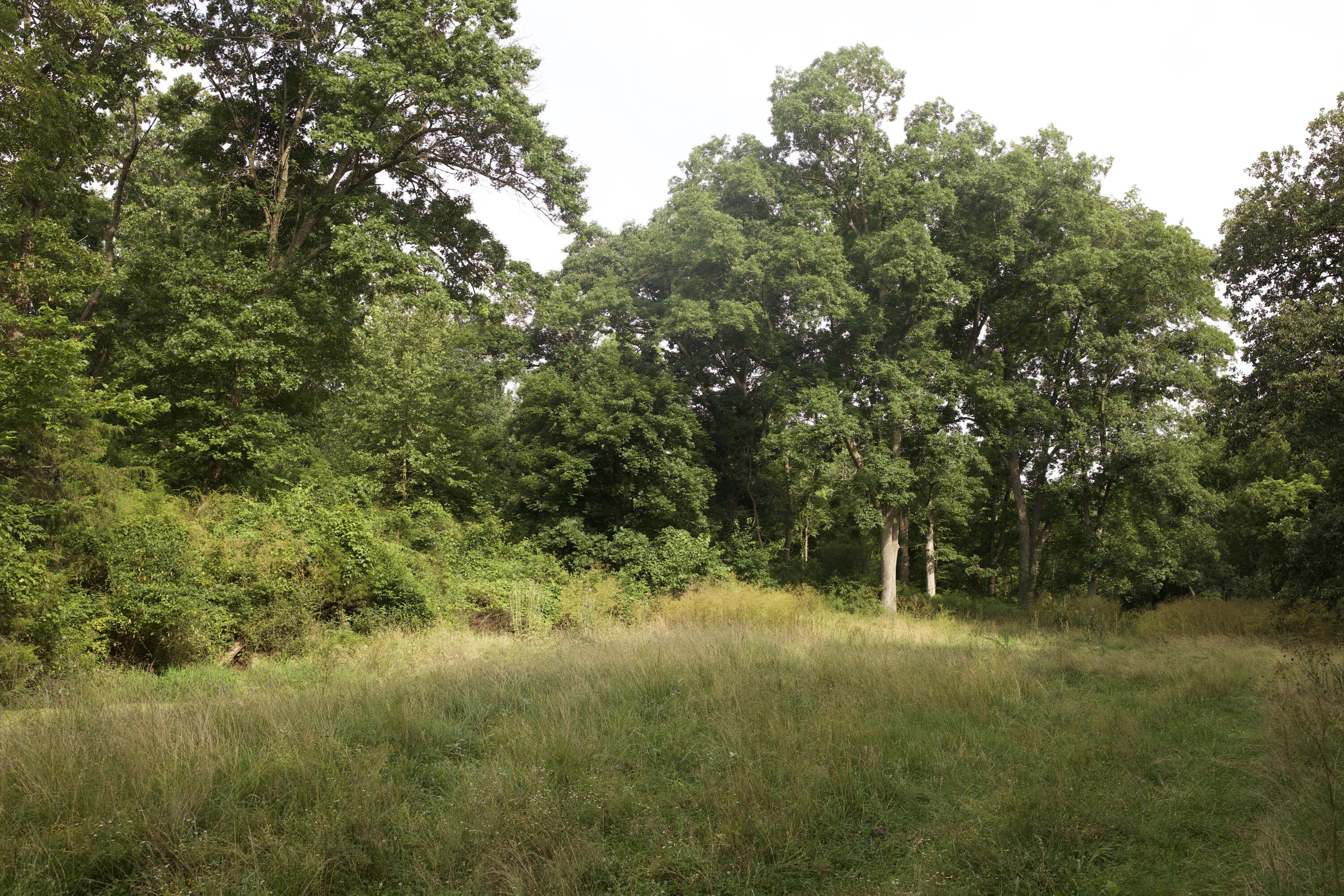 main property photo 63