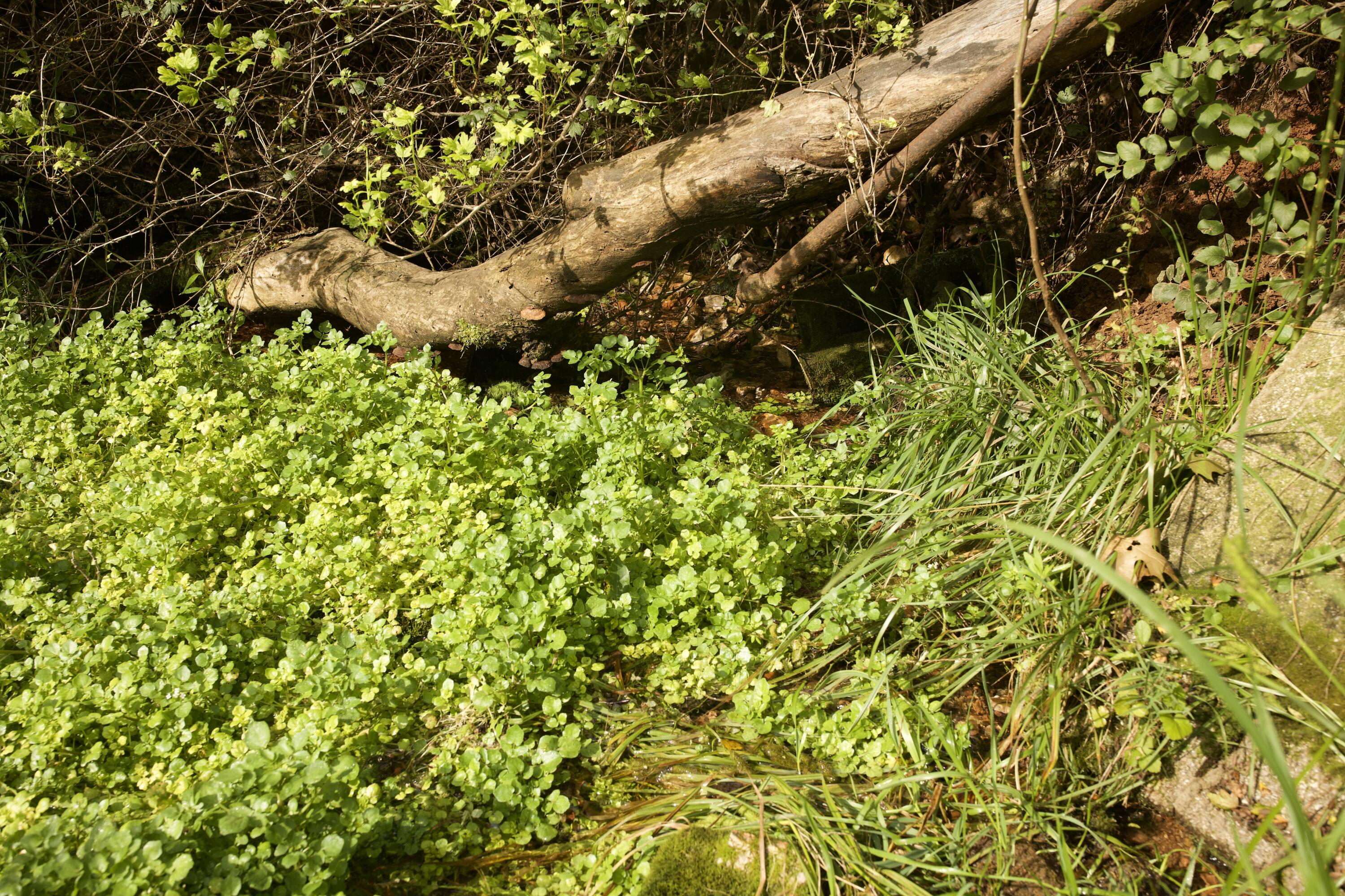 main property photo 64