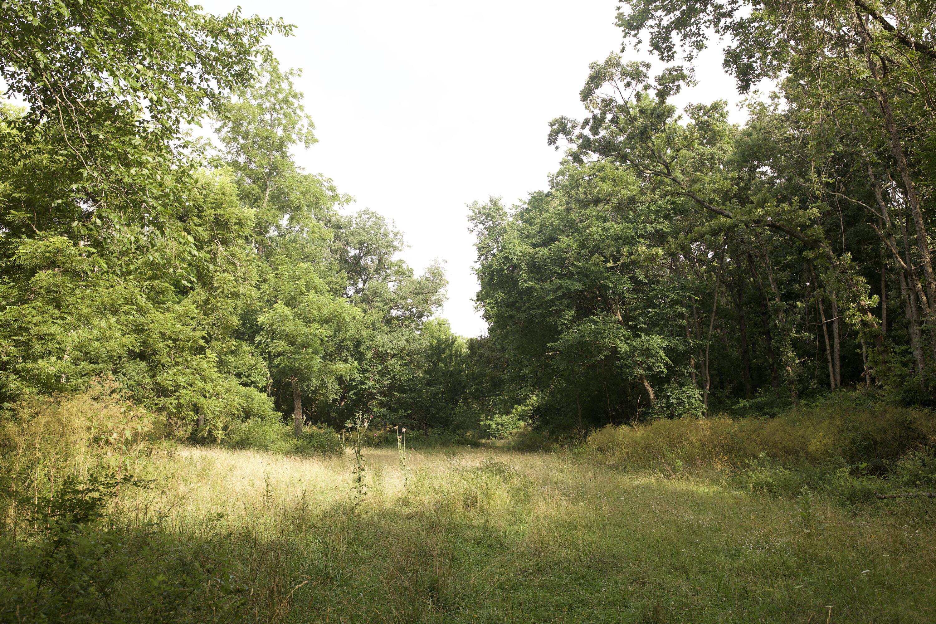 main property photo 65