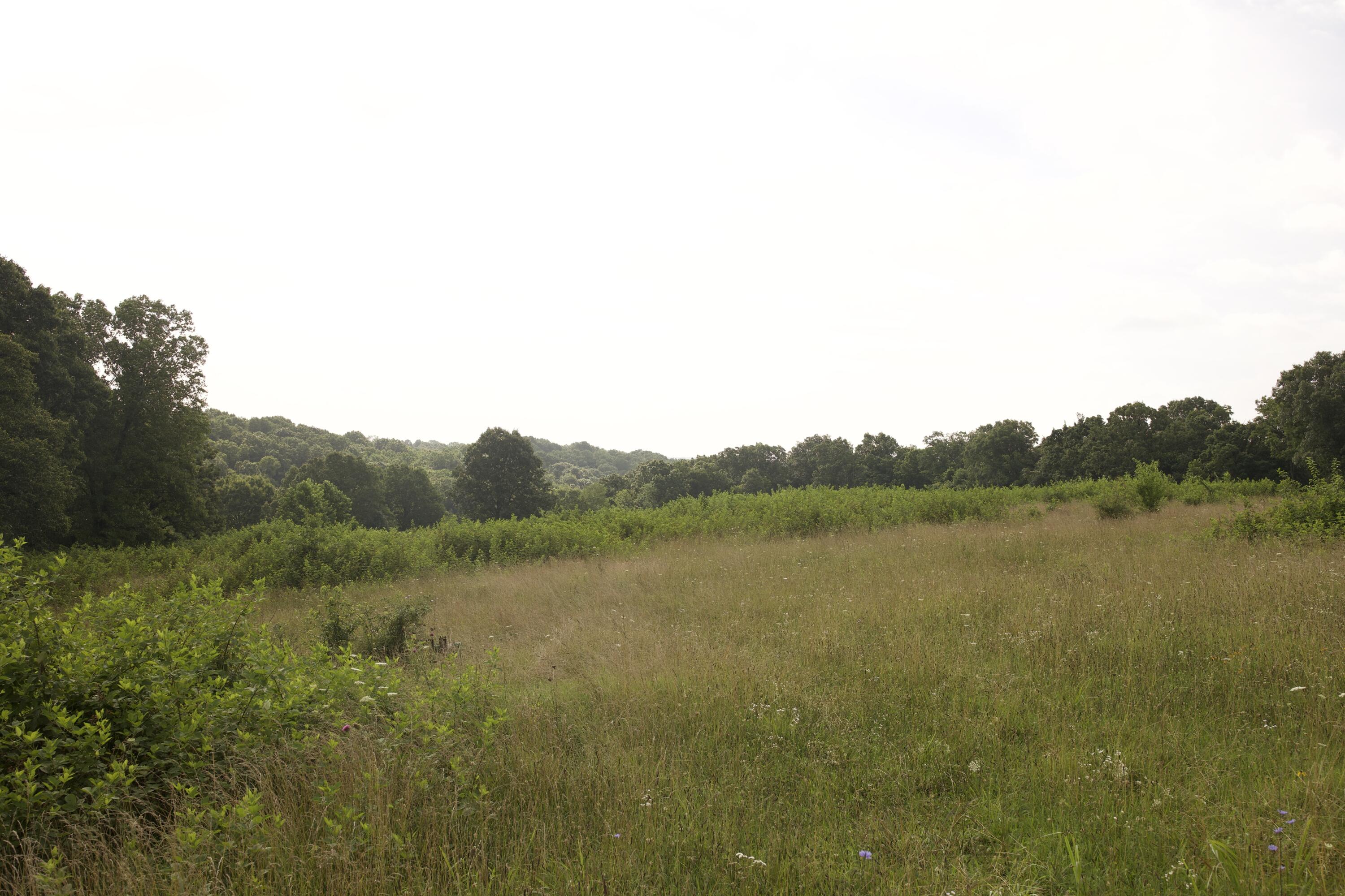 main property photo 67