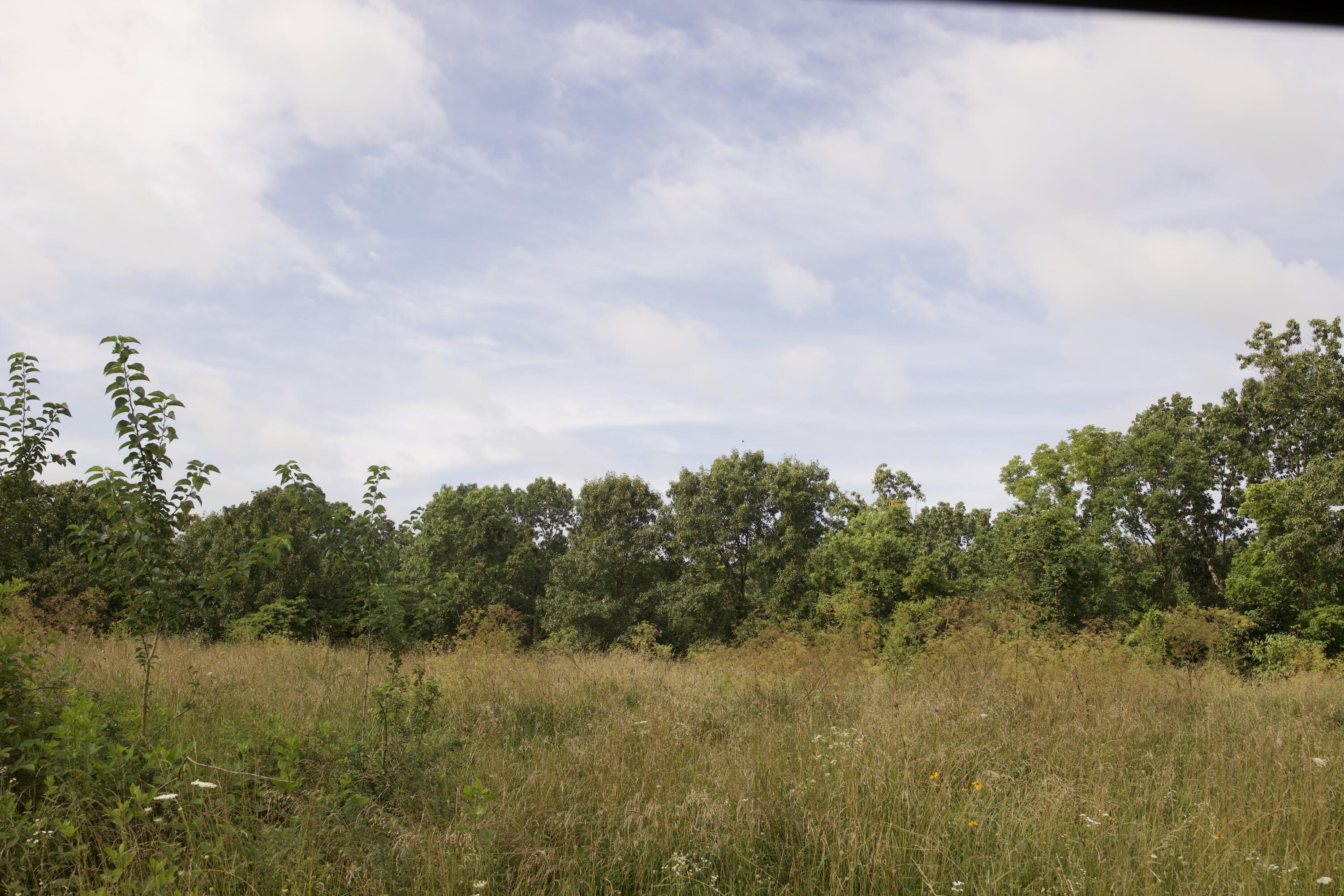 main property photo 68