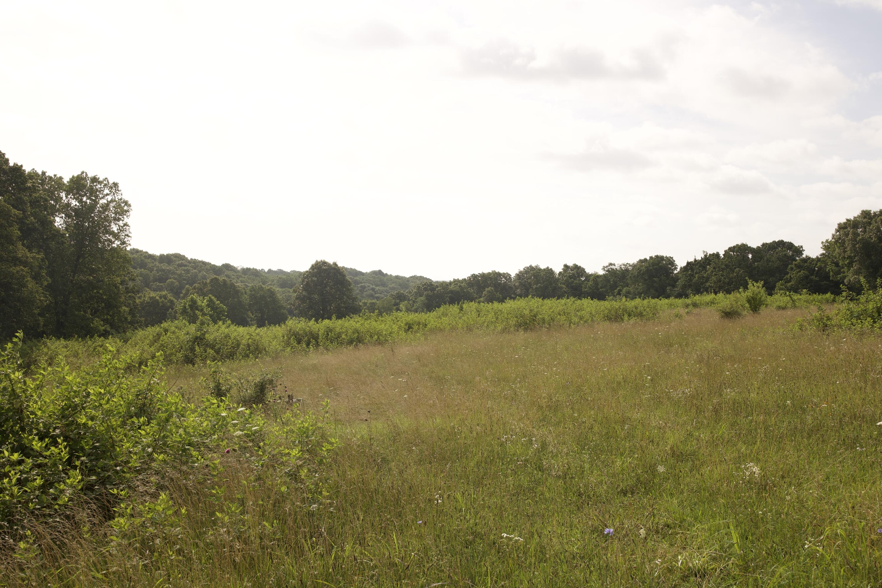 main property photo 70