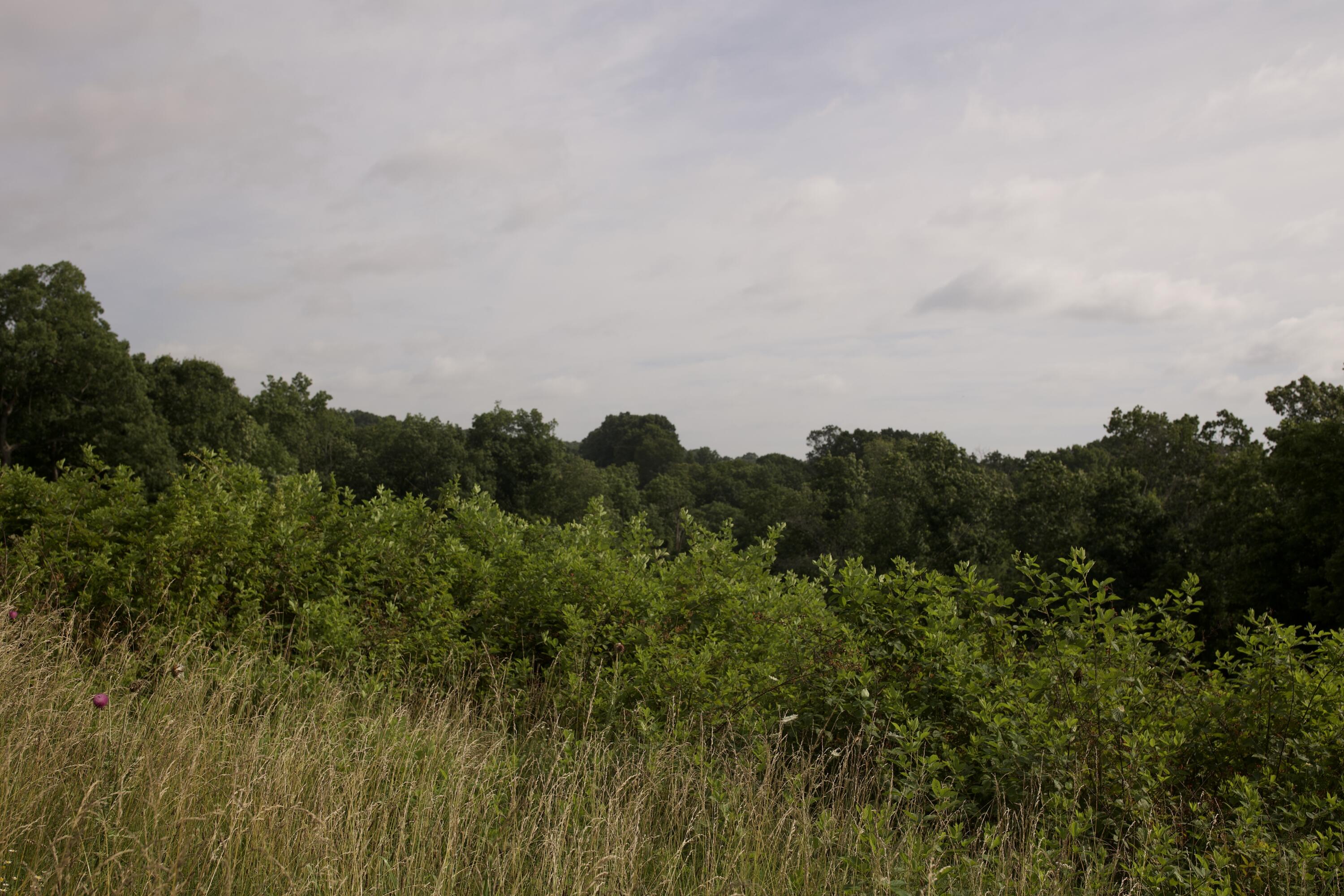 main property photo 71