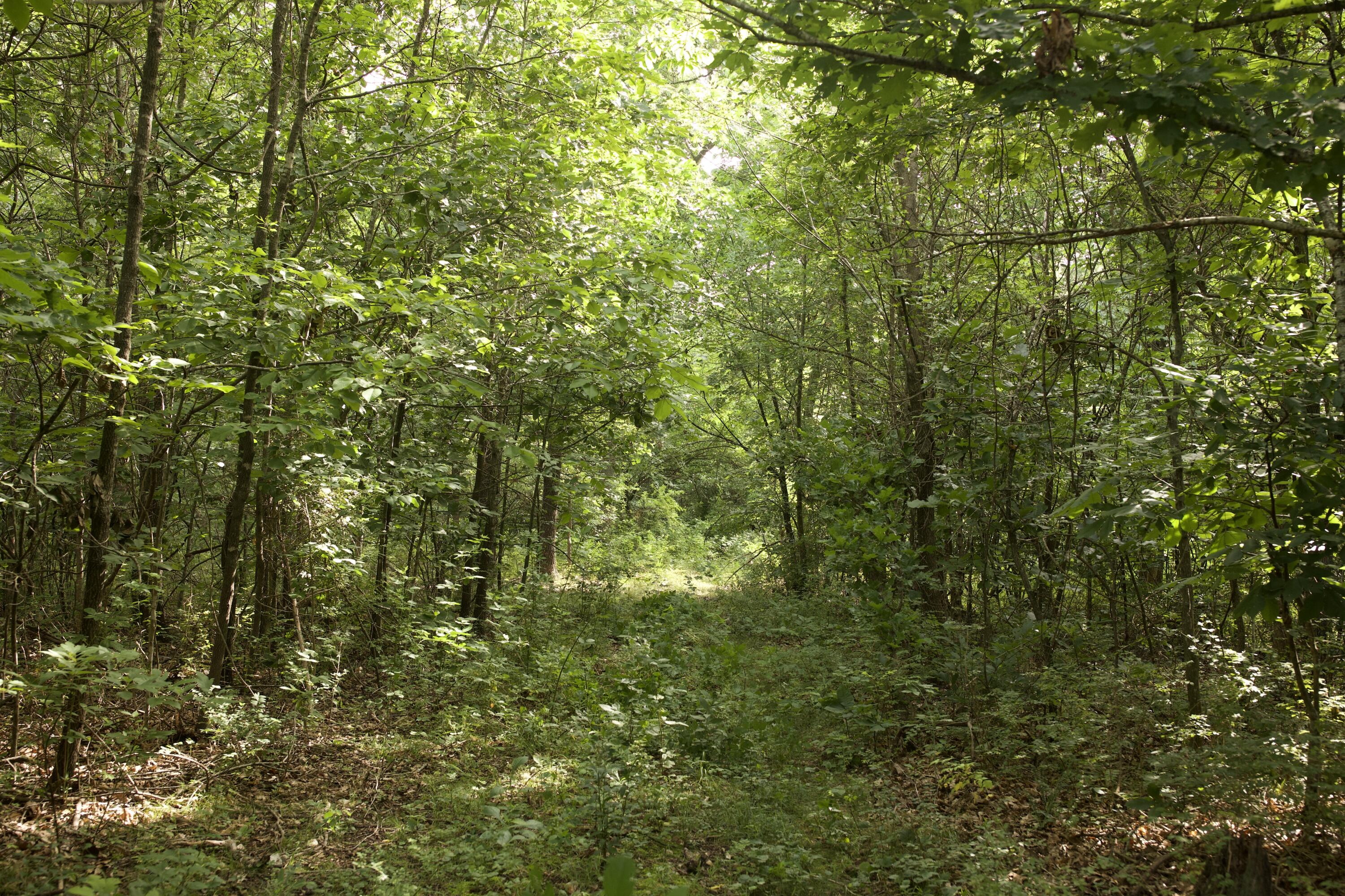 main property photo 72