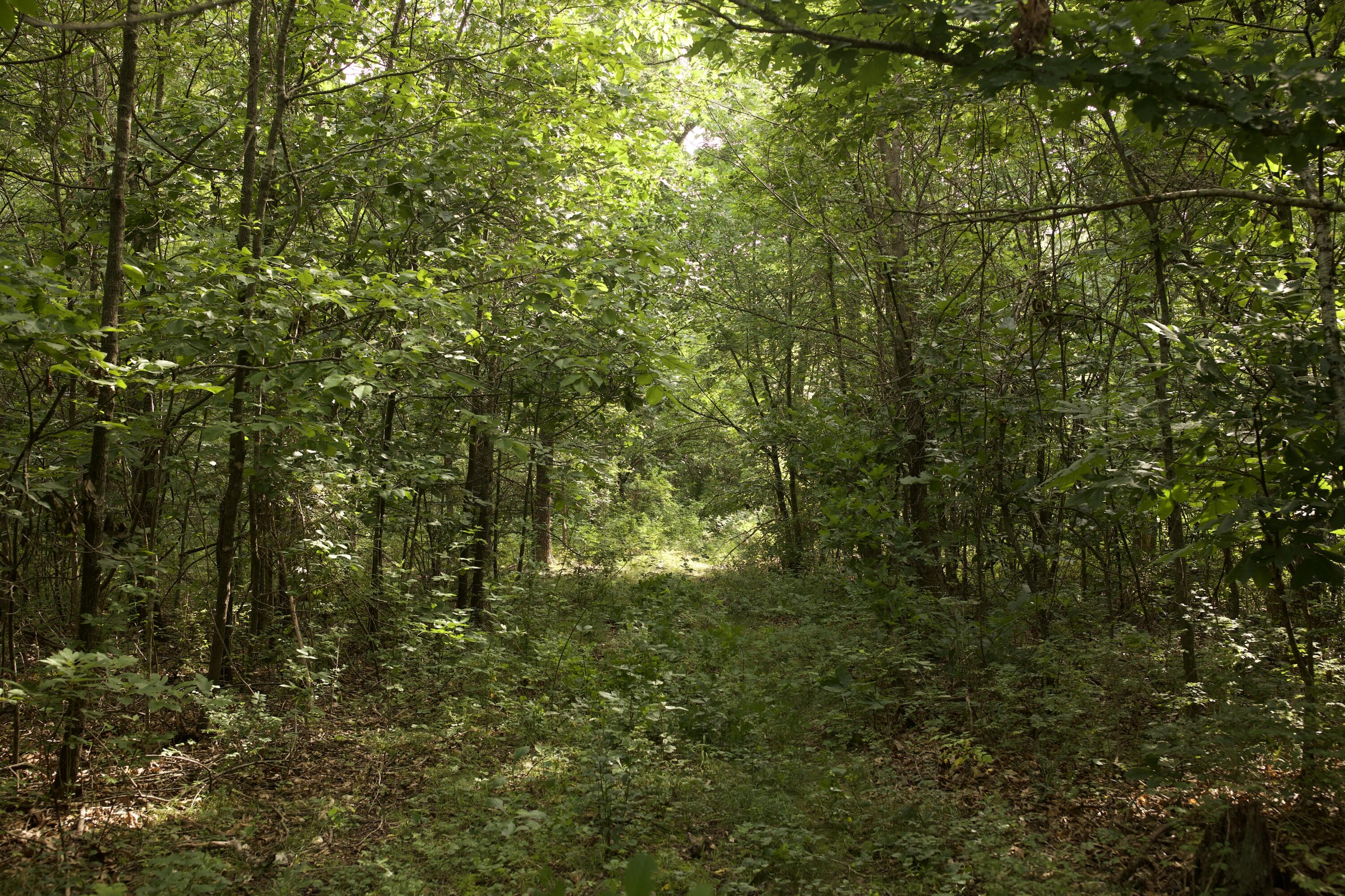 main property photo 73