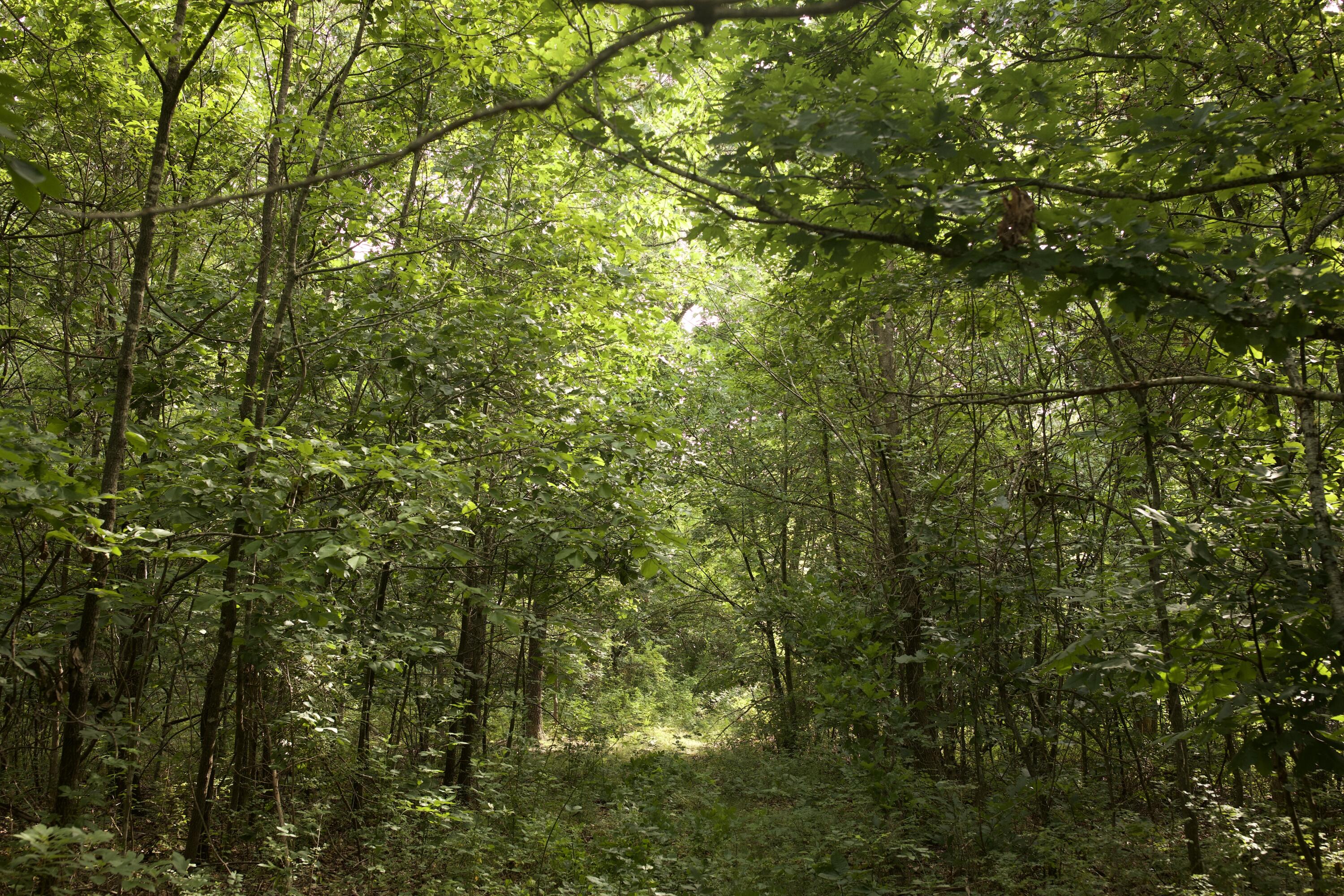 main property photo 74