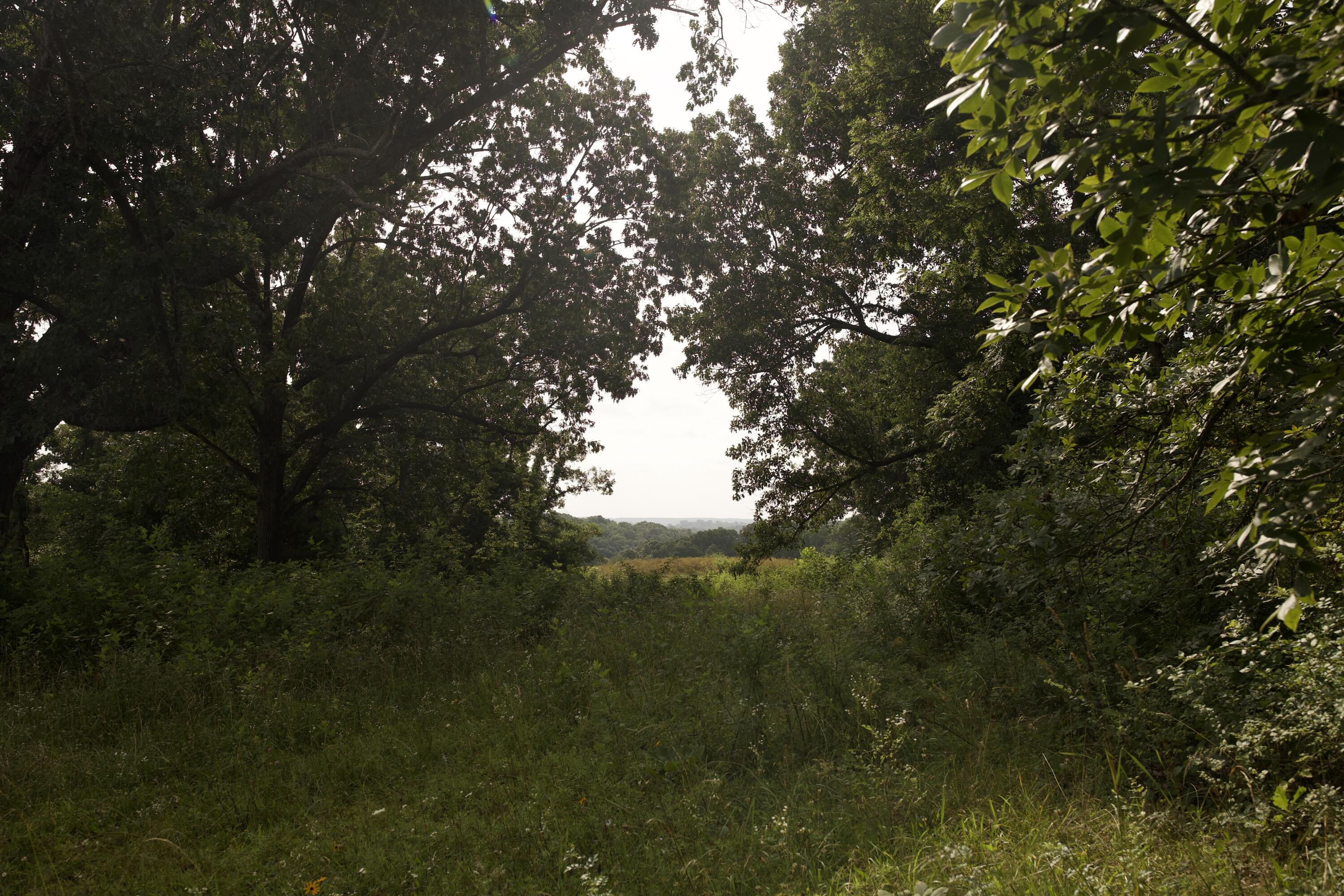 main property photo 75