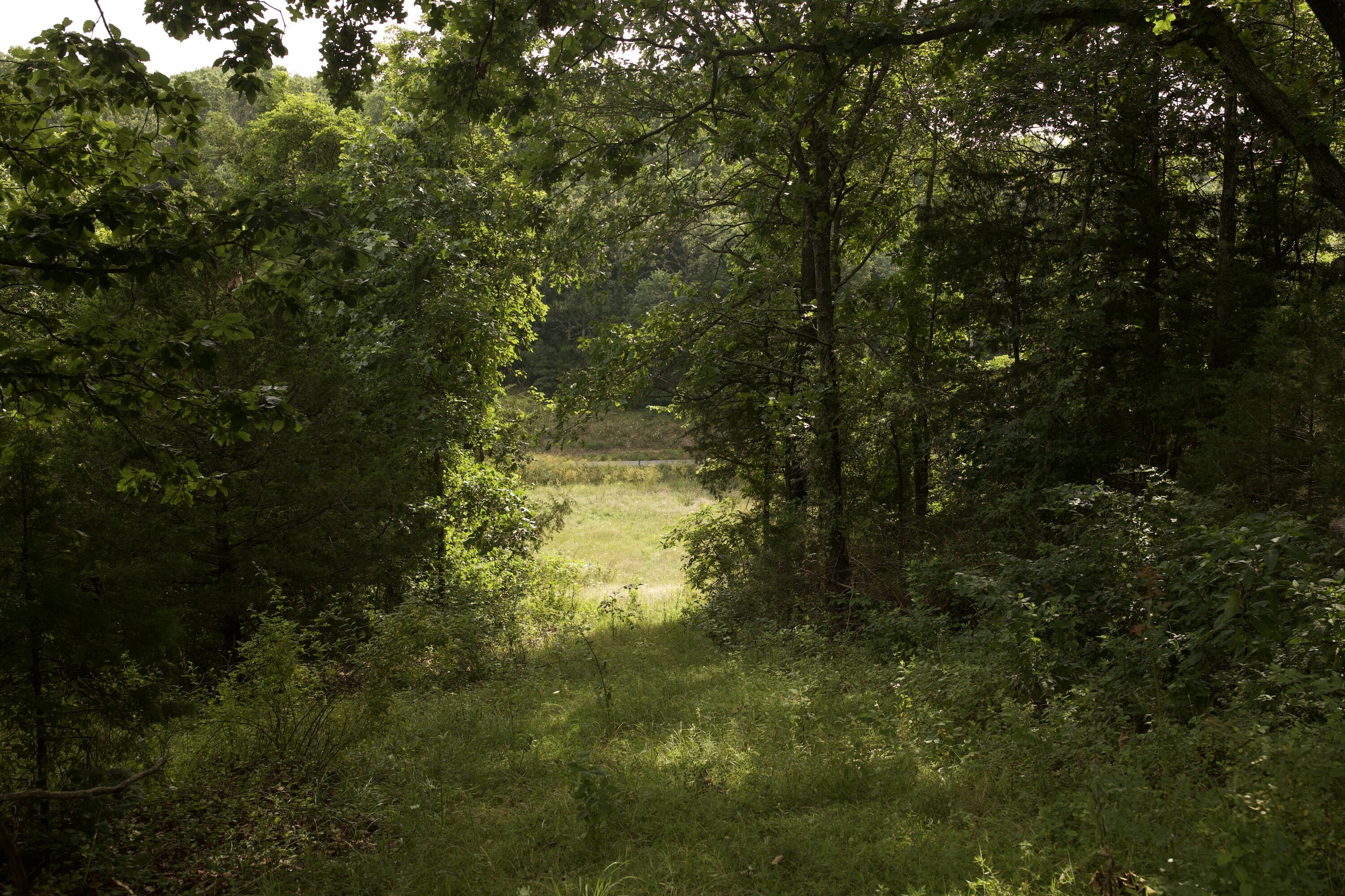 main property photo 76