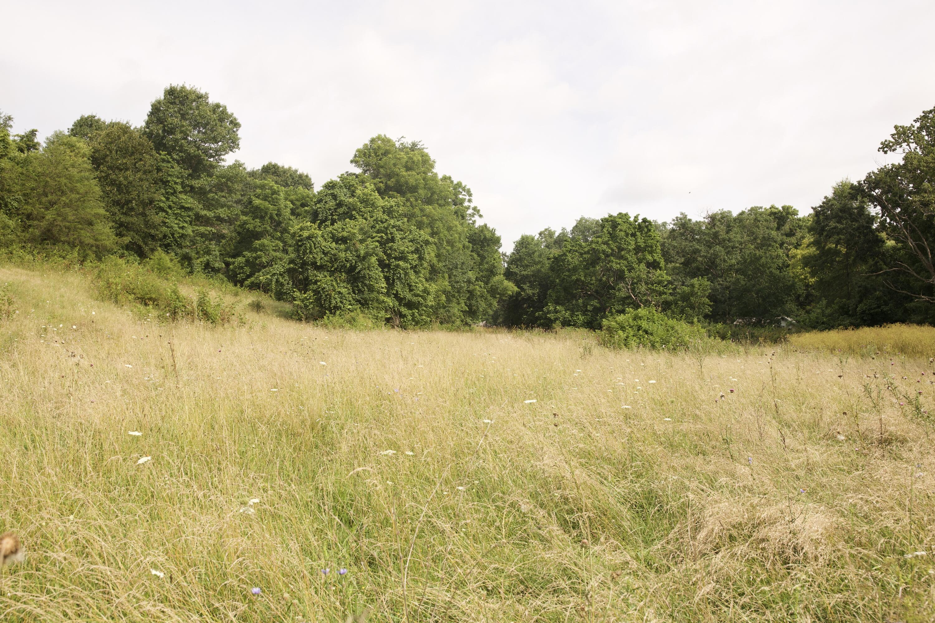 main property photo 77