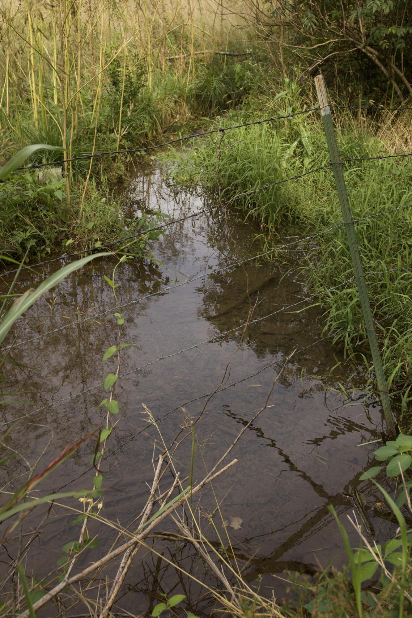 main property photo 78