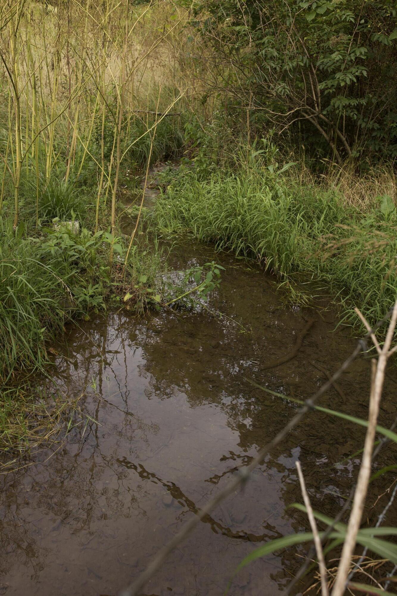 main property photo 79