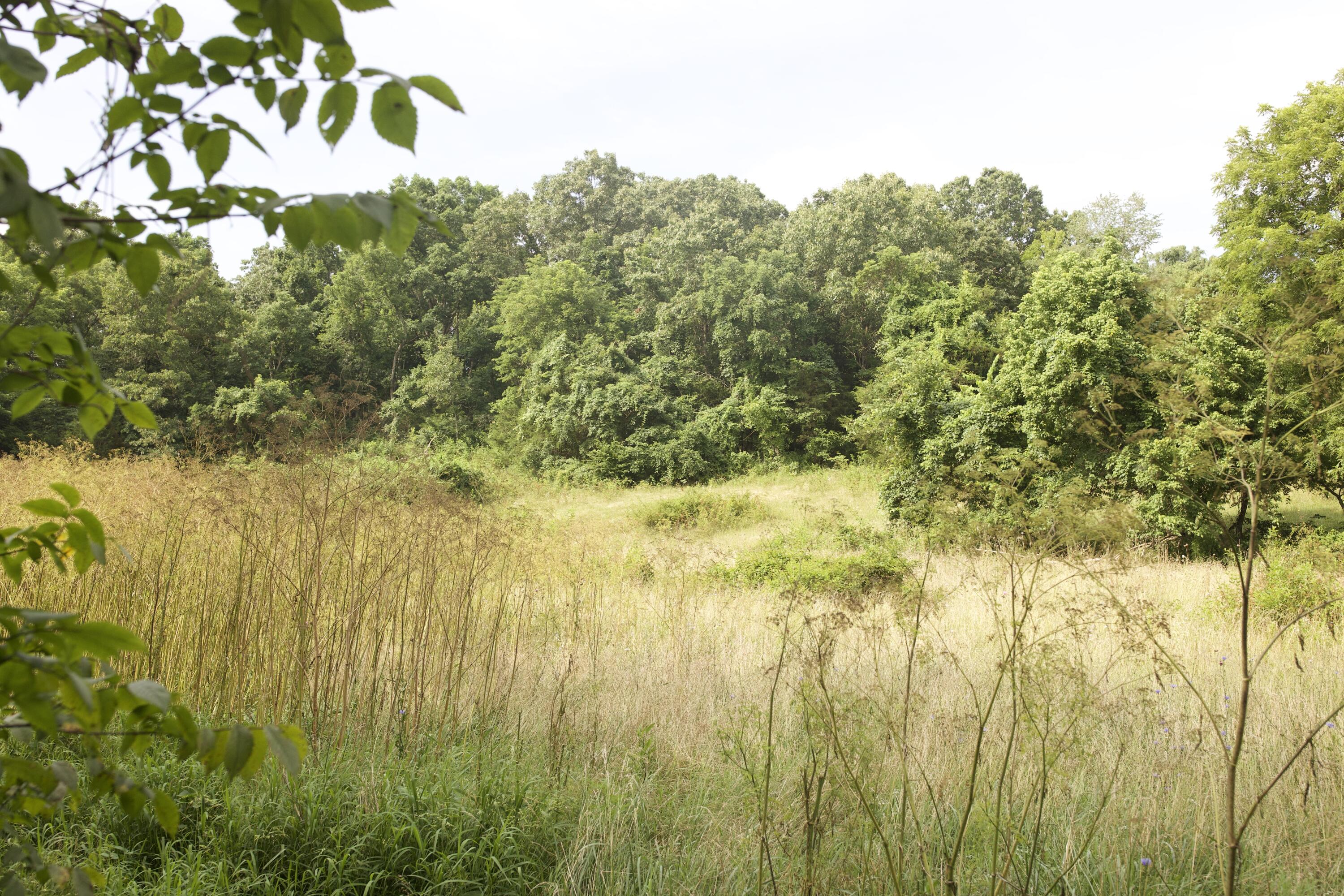 main property photo 82