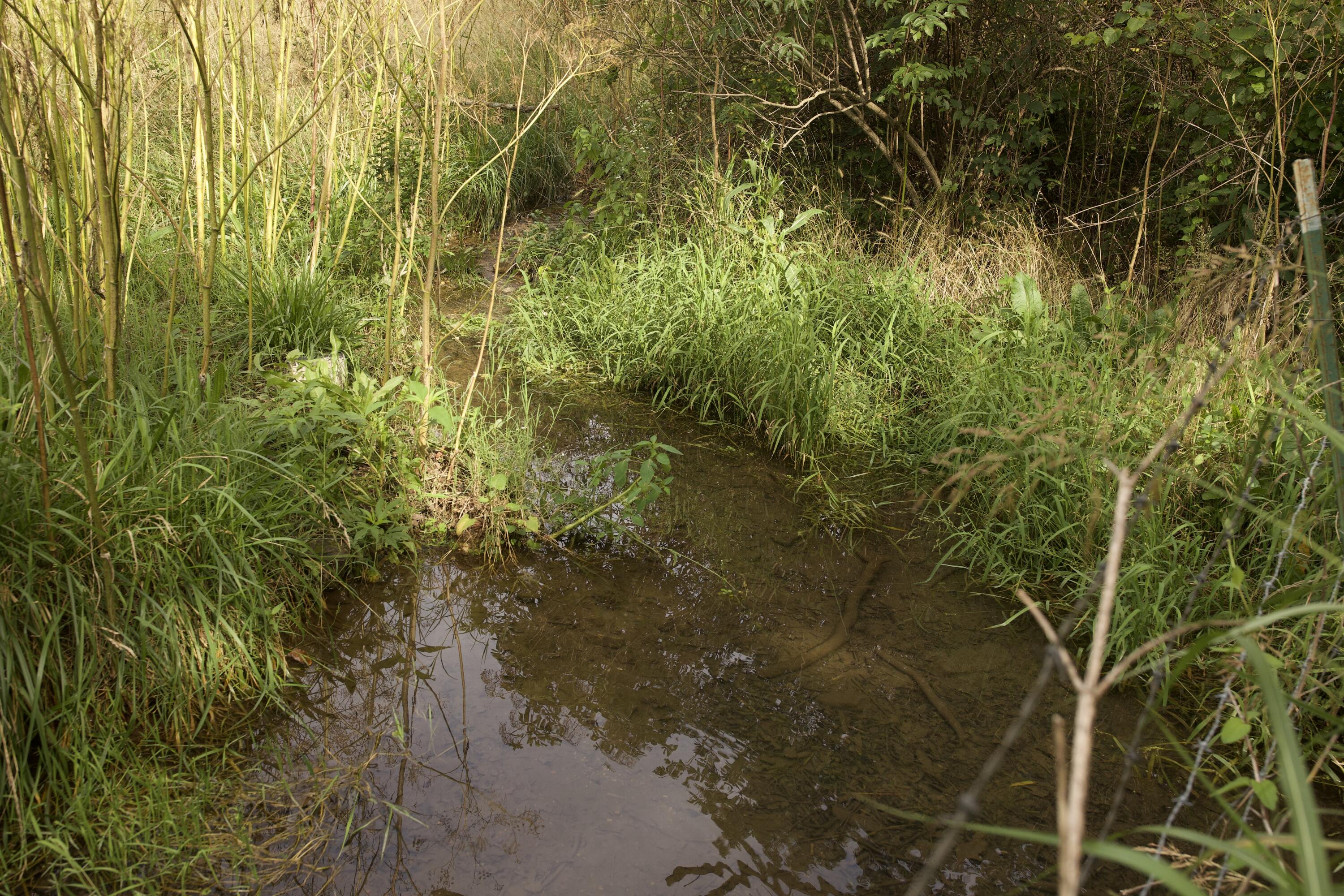 main property photo 83