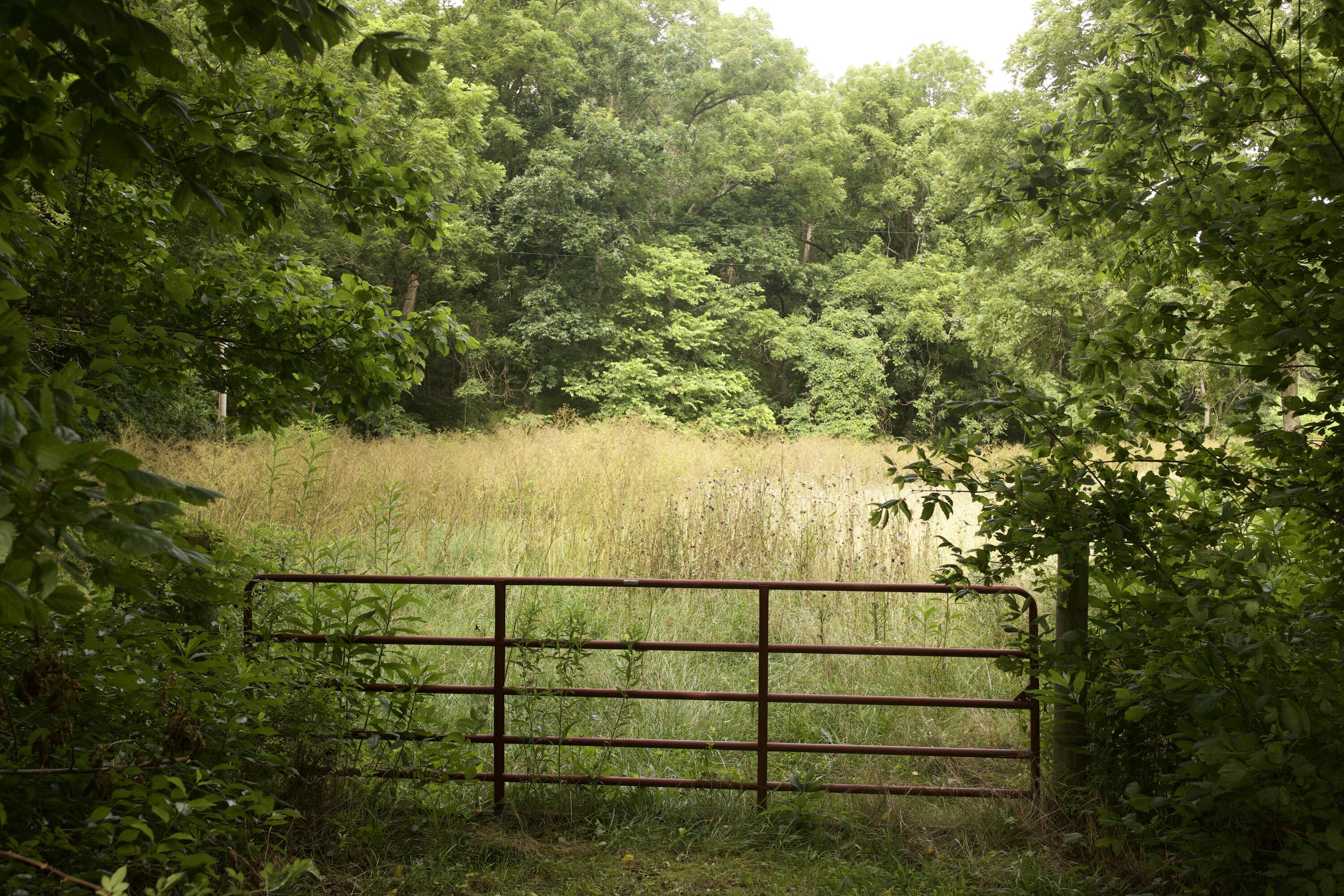 main property photo 84