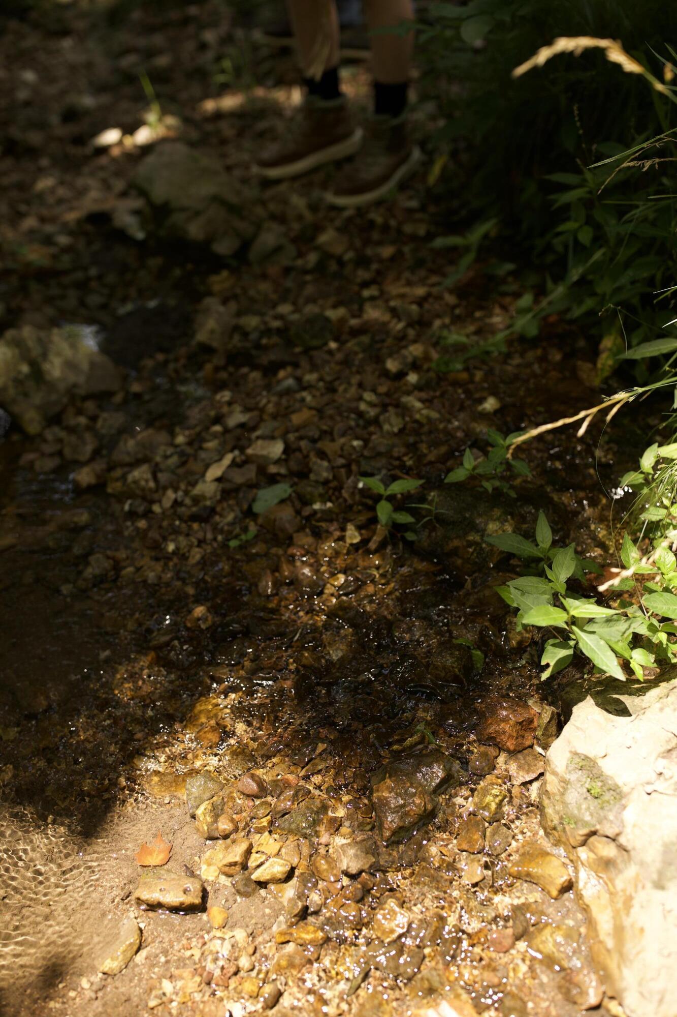 main property photo 70