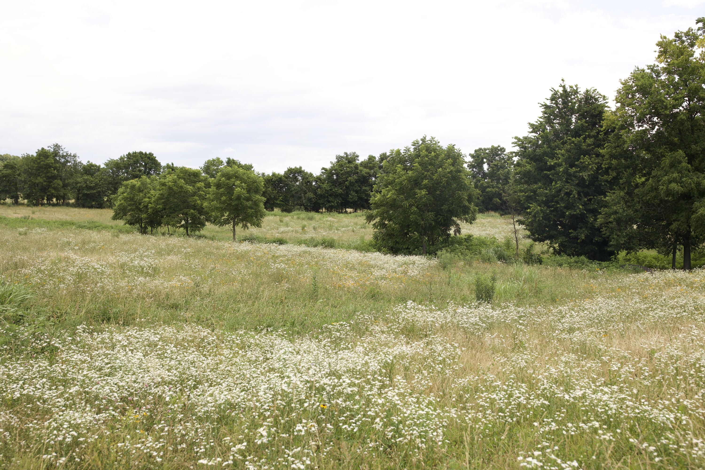 main property photo 87