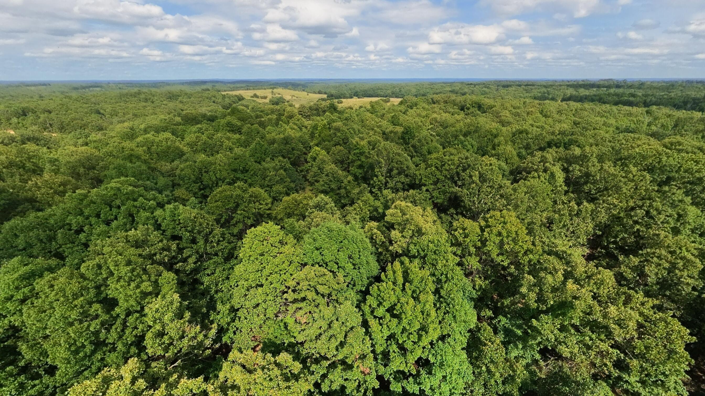 main property photo 51