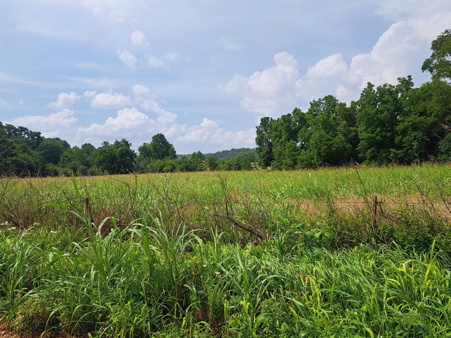 main property photo 0
