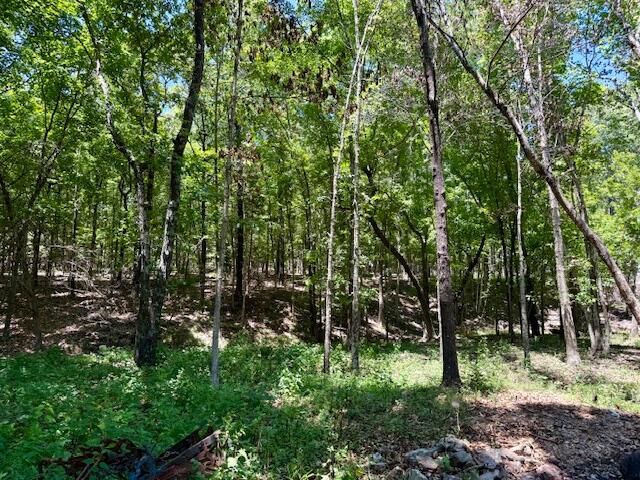 main property photo 60