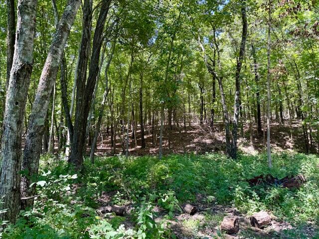 main property photo 62