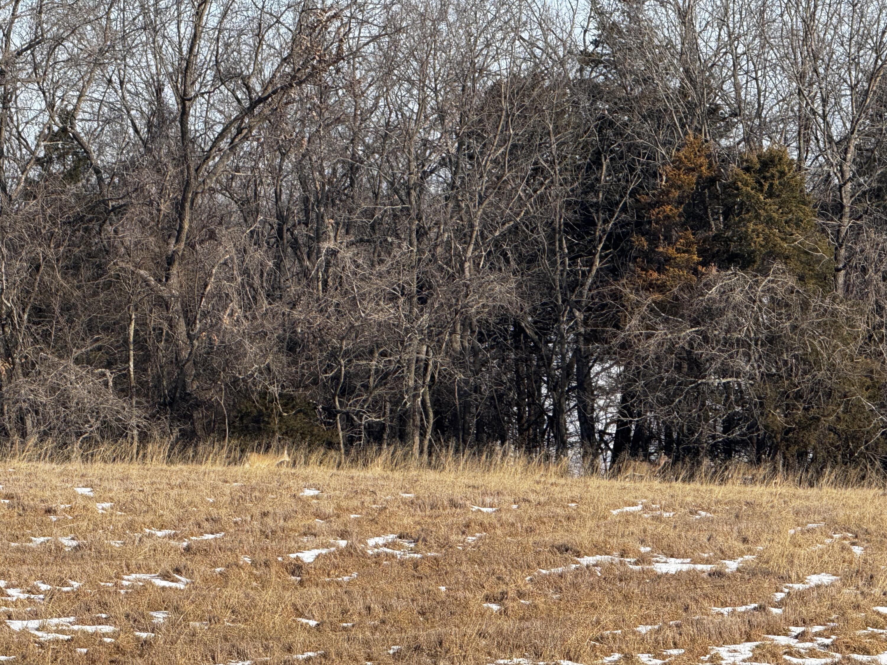 main property photo 69